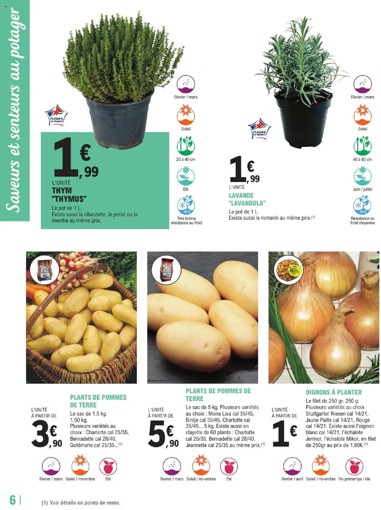 {H1} | Page: 6 | Produits: Menthe, Sac, Persil, Pommes