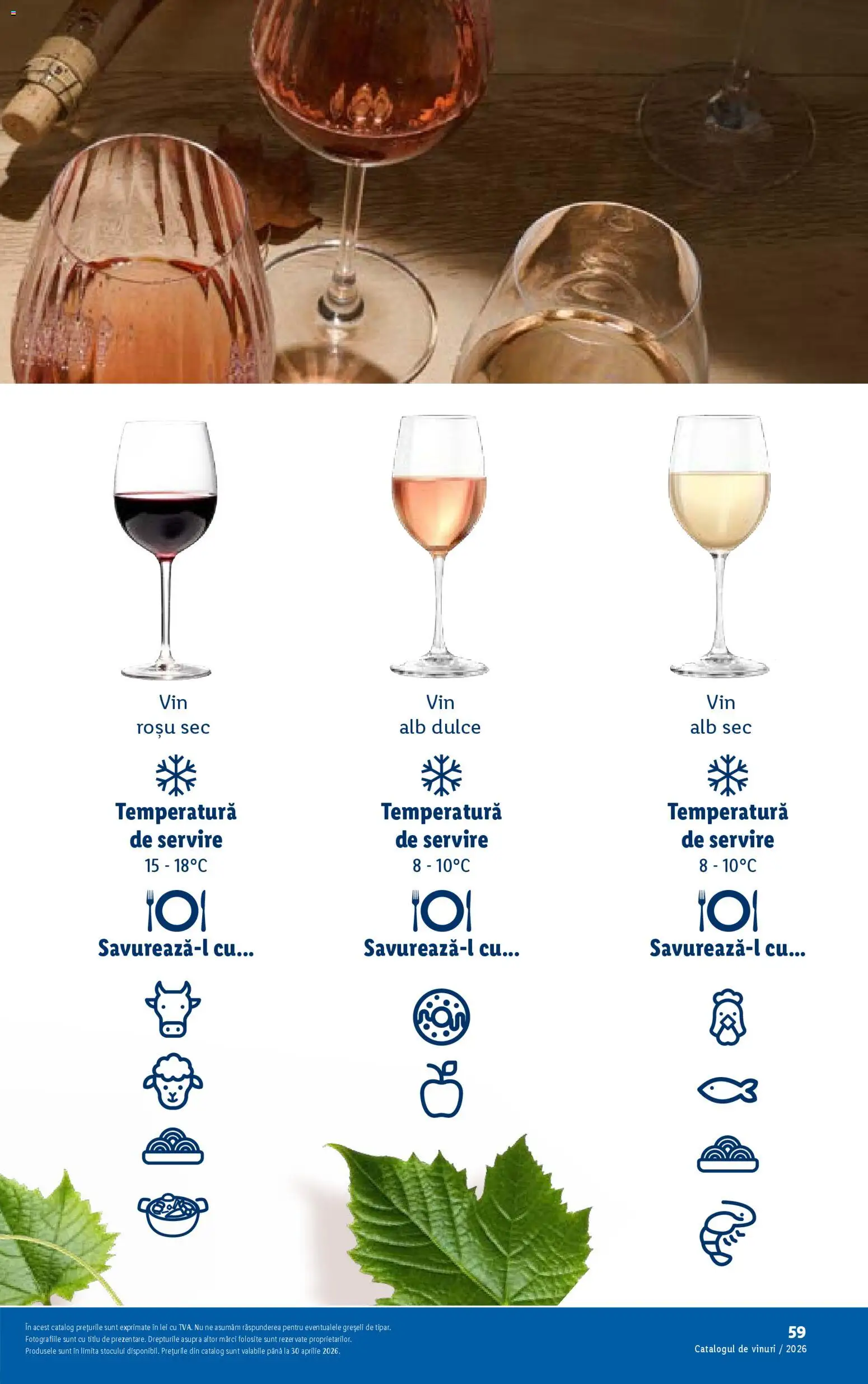 Noul catalog Lidl – valabil de la 23.02.2026 | Pagină: 59