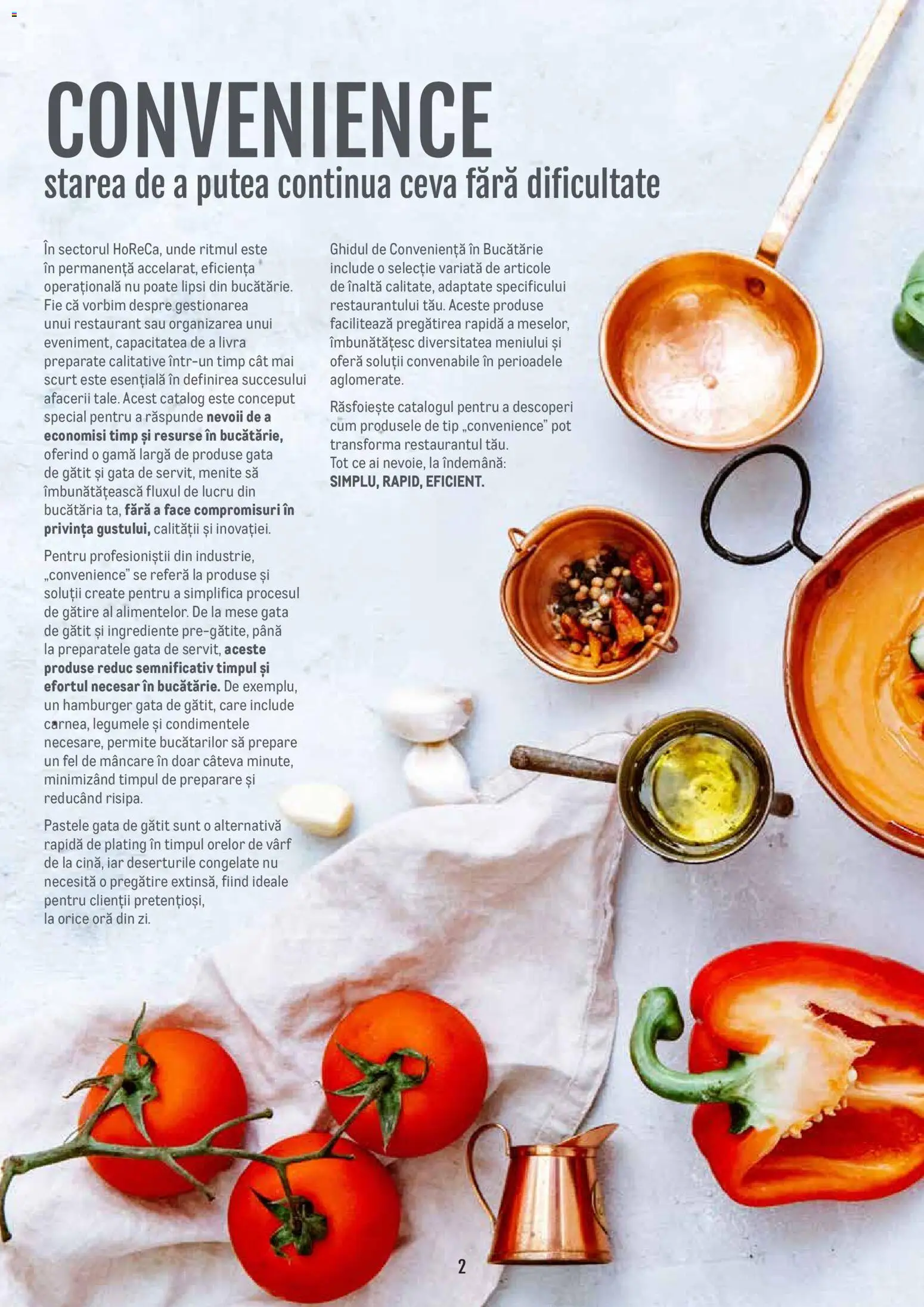 Noul catalog Metro – valabil de la 14.11.2024 | Pagină: 2 | Produse: Bucătărie