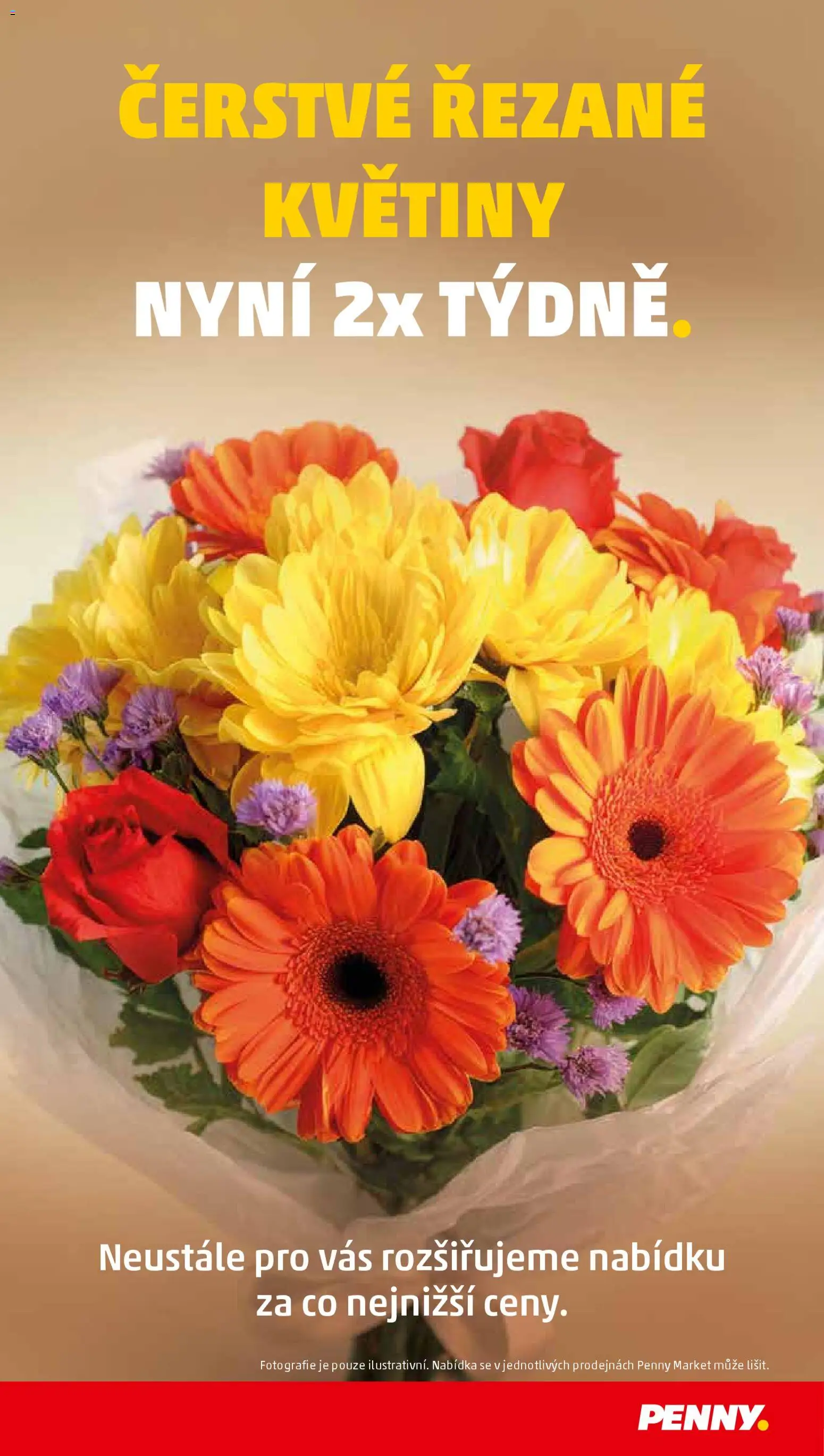 Penny Market leták - Čtvrtečník od 04.11.2025 | Strana: 36