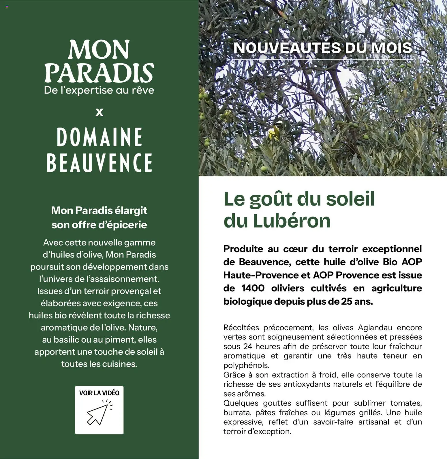 {H1} | Page: 42 | Produits: Olives, Olive, Huile D'olive, Pâtes