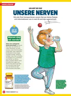 Billa  Frisch Gekocht Kids ab 01.12.2025 gültig | Seite: 34 | Produkte: Papier blanc