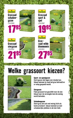 Hornbach folder - Voorbeeld van een folder van Hornbach, geldig van 06.04.2026 | Pagina: 43 | Producten: Spel