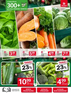 Pogląd oferty "Selgros cash&carry Gazetka" - ważna od 06.11.2025 | Strona: 3 | Produkty: Batat, Brokuł, Cukinia