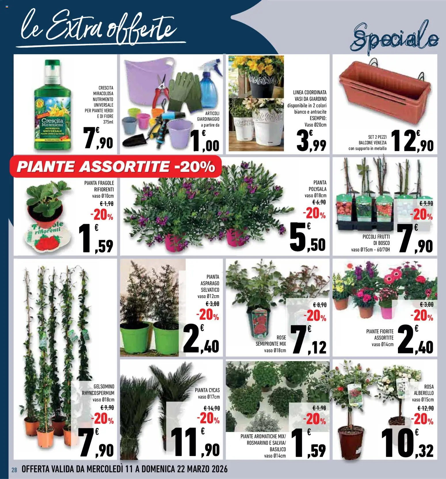 Volantino Conad del 11.03.2026 | Pagina: 28 | Prodotti: Rosmarino, Fragole, Basilico, Vaso