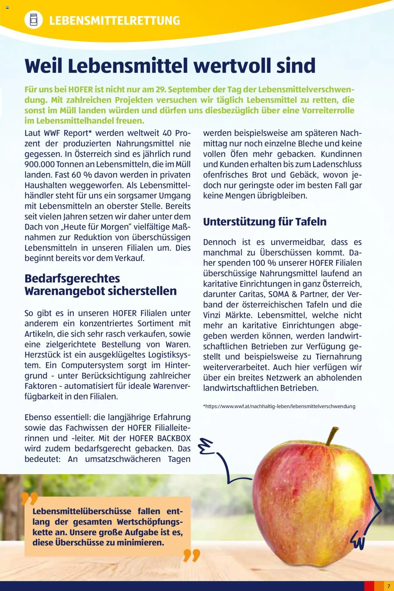 Hofer Heute für Morgen-Magazin gültig ab 02.10.2024 | Seite: 7 | Produkte: Ofen, Brot