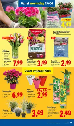 Agrofino Potgrond voor bloembakken, 20 l - 0,17 EUR/L - Voorbeeld van een folder van Lidl, geldig van 13.04.2026 | Pagina: 17