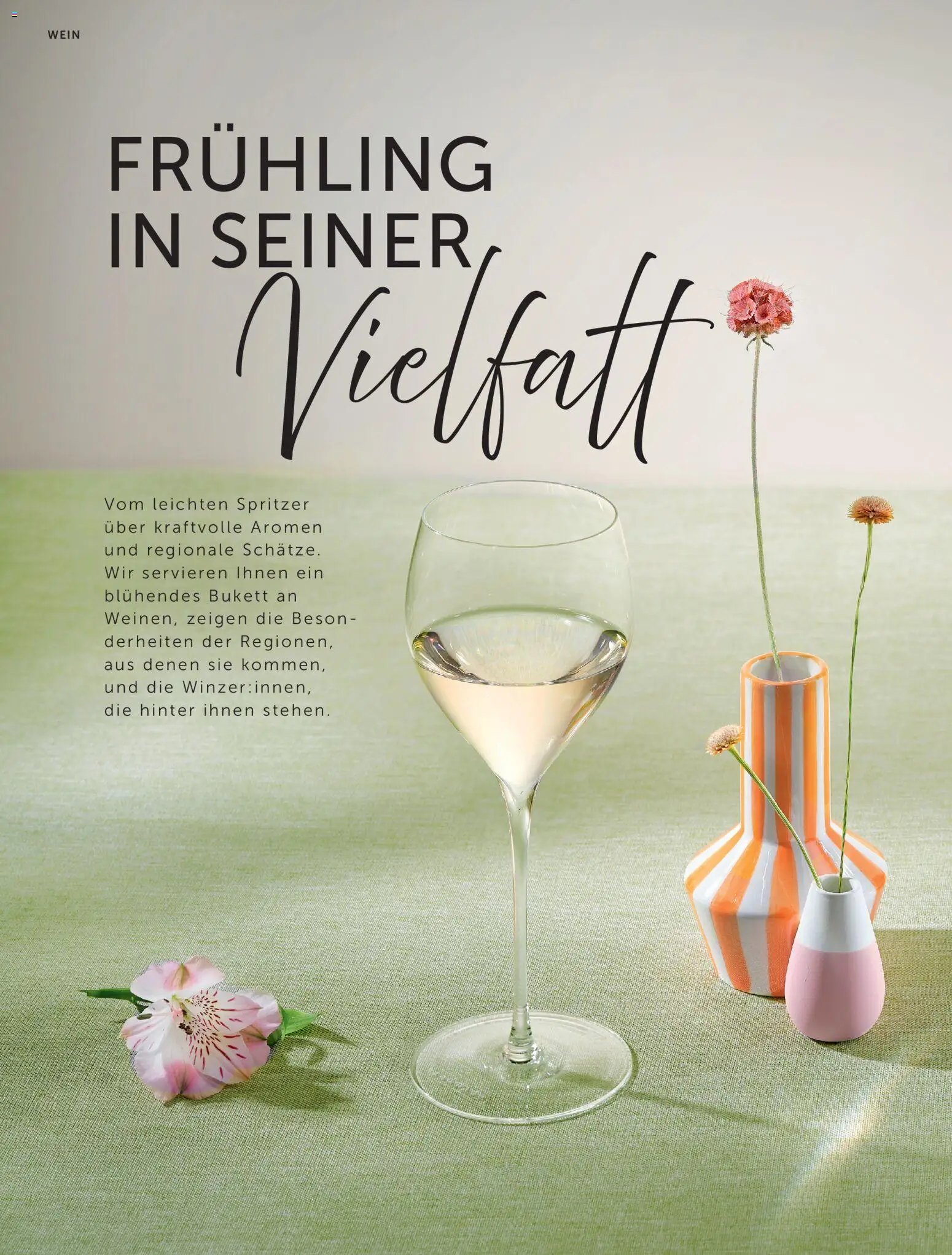 Interspar Meine Weinwelt Frühling 2026 gültig ab 05.03.2026 | Seite: 6 | Produkte: Wein