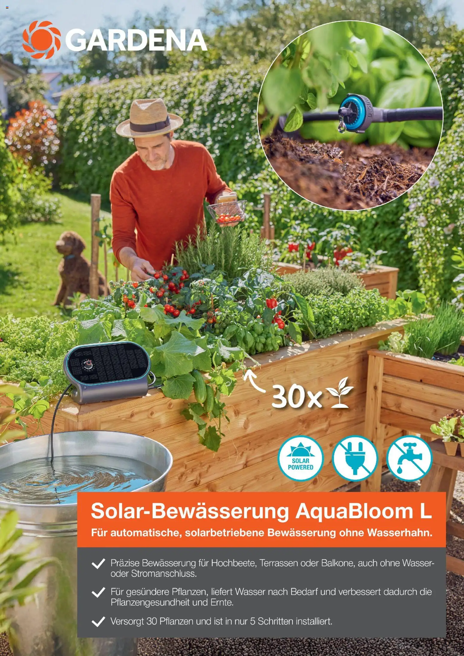 Dehner Prospekt 	 – gültig ab 17.04.2026 | Seite: 65 | Produkte: Wasser