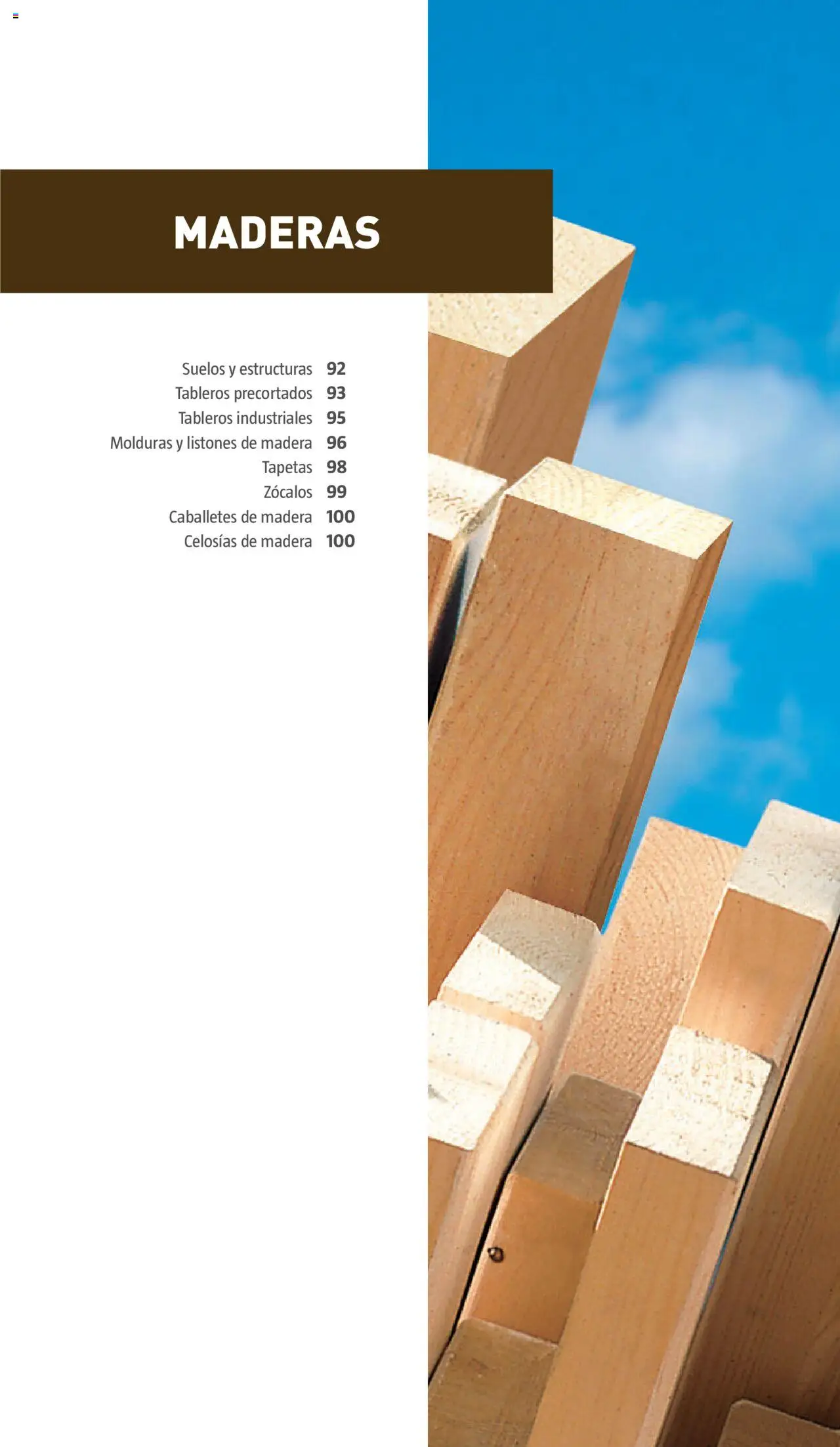 Bauhaus - ProService  │ válido desde el 24.02.2025 | Página: 91