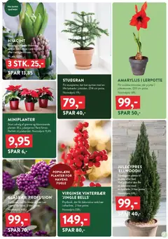 Plantorama - Smugkig gyldig fra 07.11.2025 | Side: 7