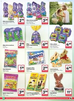 Maximarkt Flugblatt ab 12.03.2026 gültig | Seite: 13