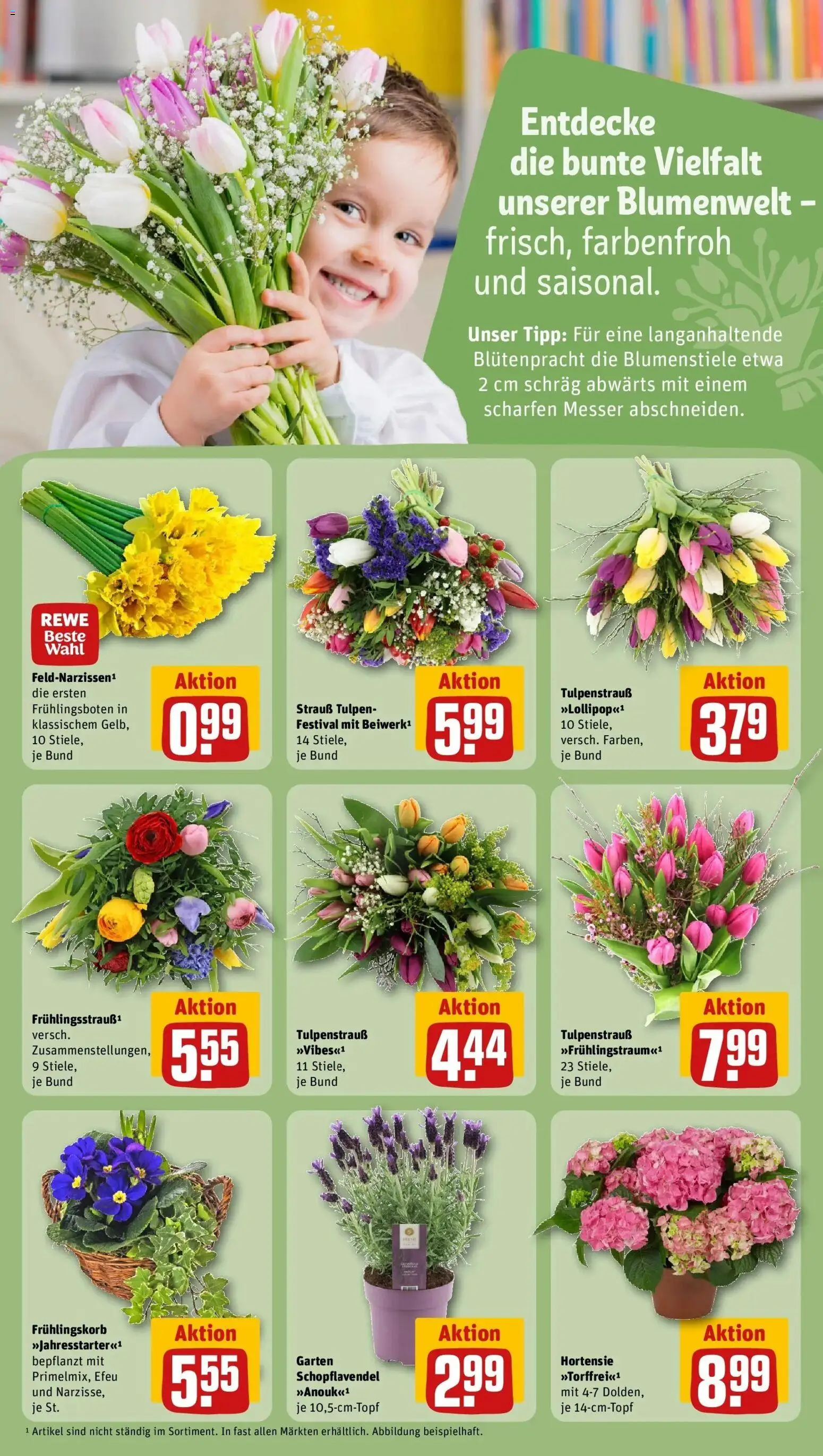 Rewe Prospekt Sulzfeld	 – gültig ab 15.03.2026 | Seite: 21 | Produkte: Hortensie