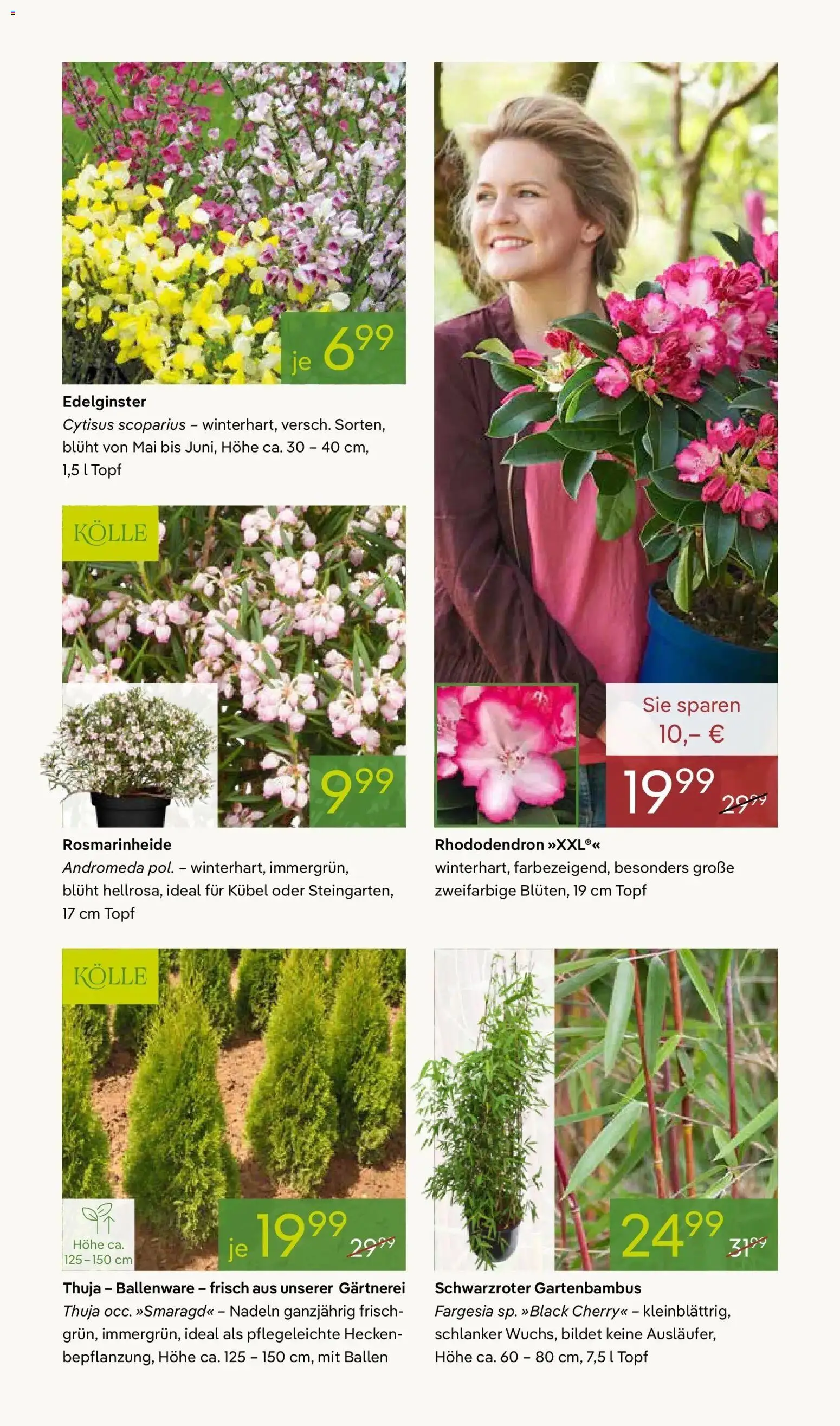 Pflanzen-Kölle - Pflanzen-Kölle: Blühende Osterzeit – gültig ab 30.03.2026 | Seite: 9