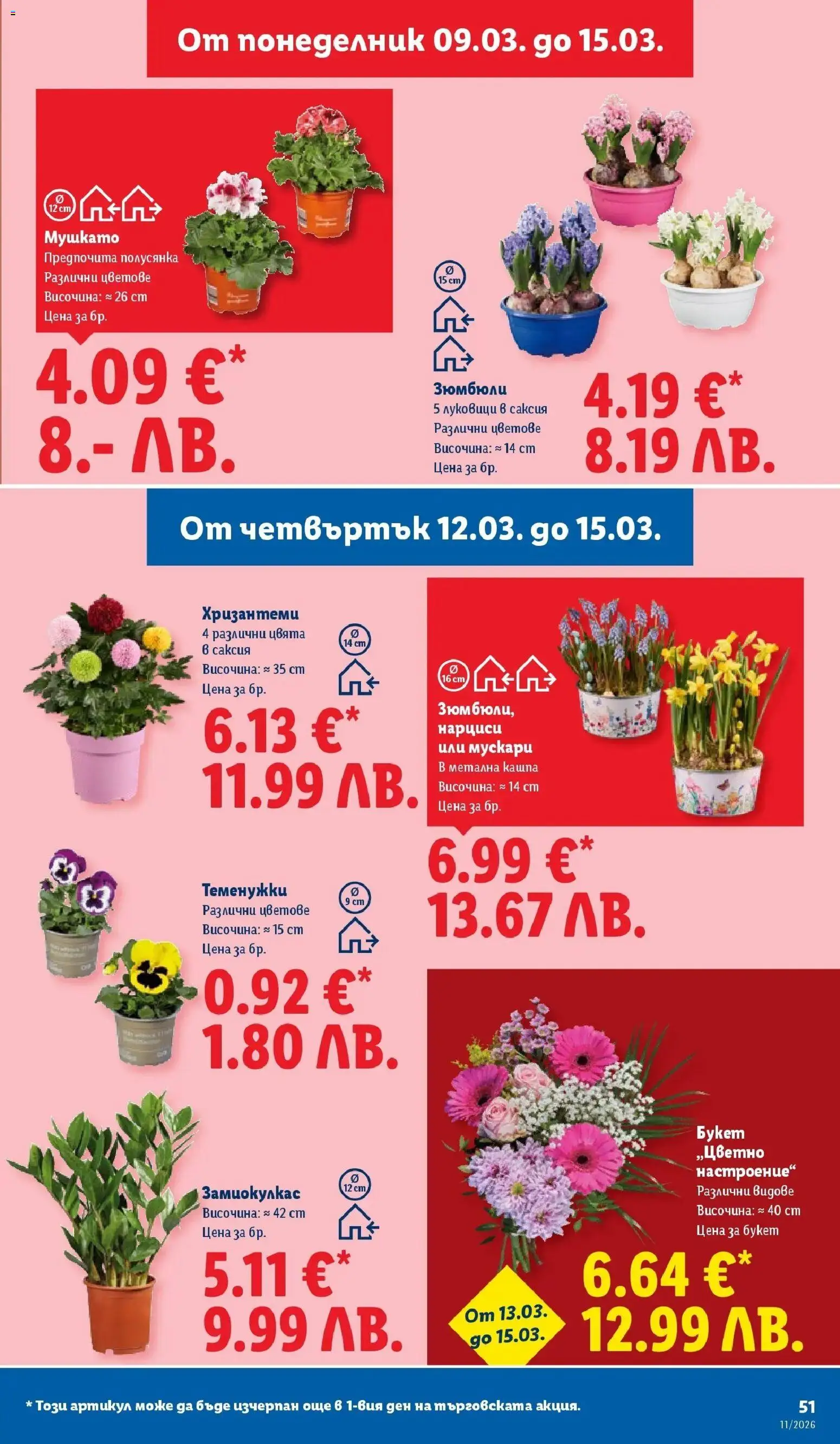 {H1} | Страница: 51 | Продукти: Кашпа, Саксия