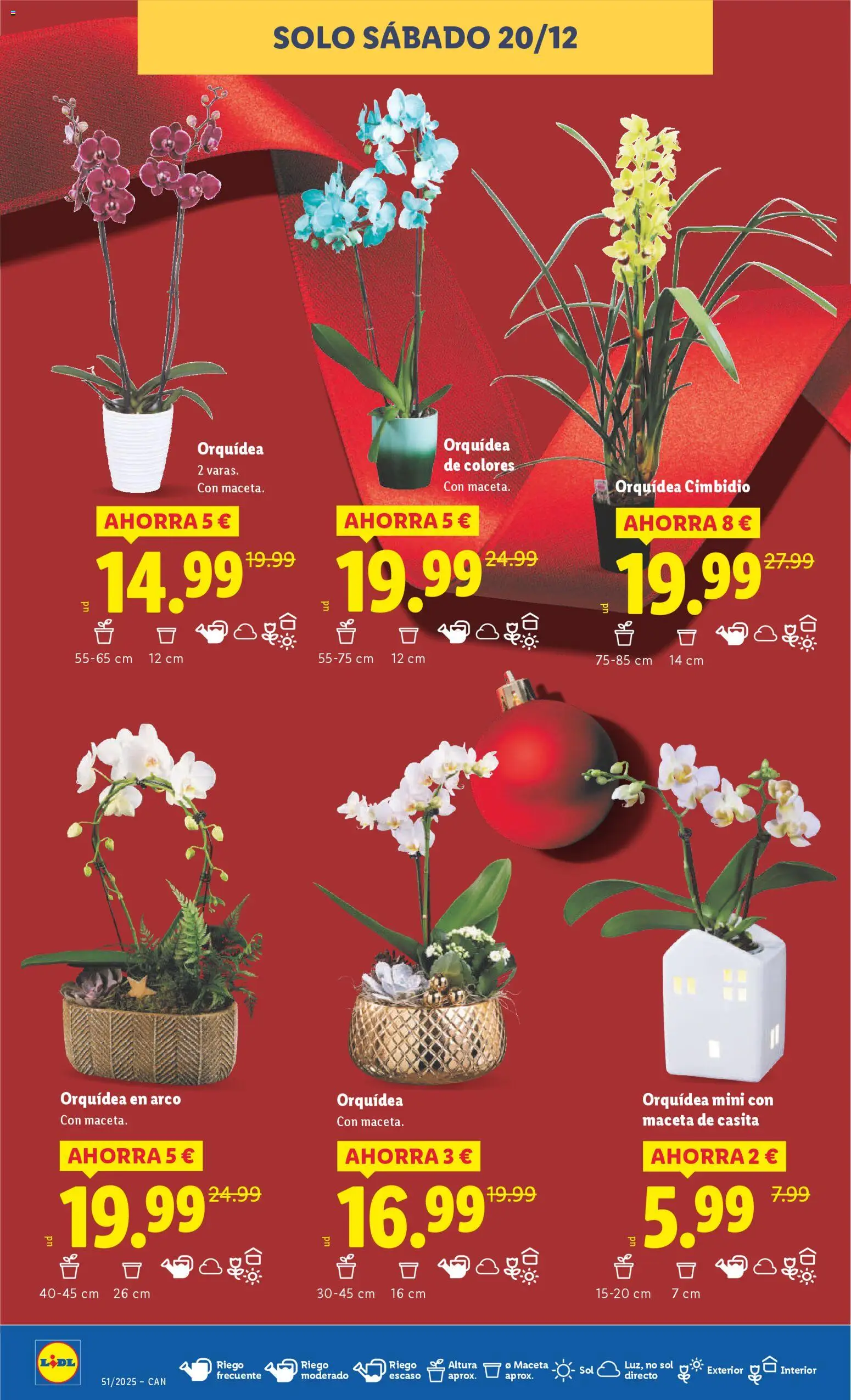 Lidl -Canarias │ válido desde el 15.12.2025 | Página: 48 | Productos: Maceta