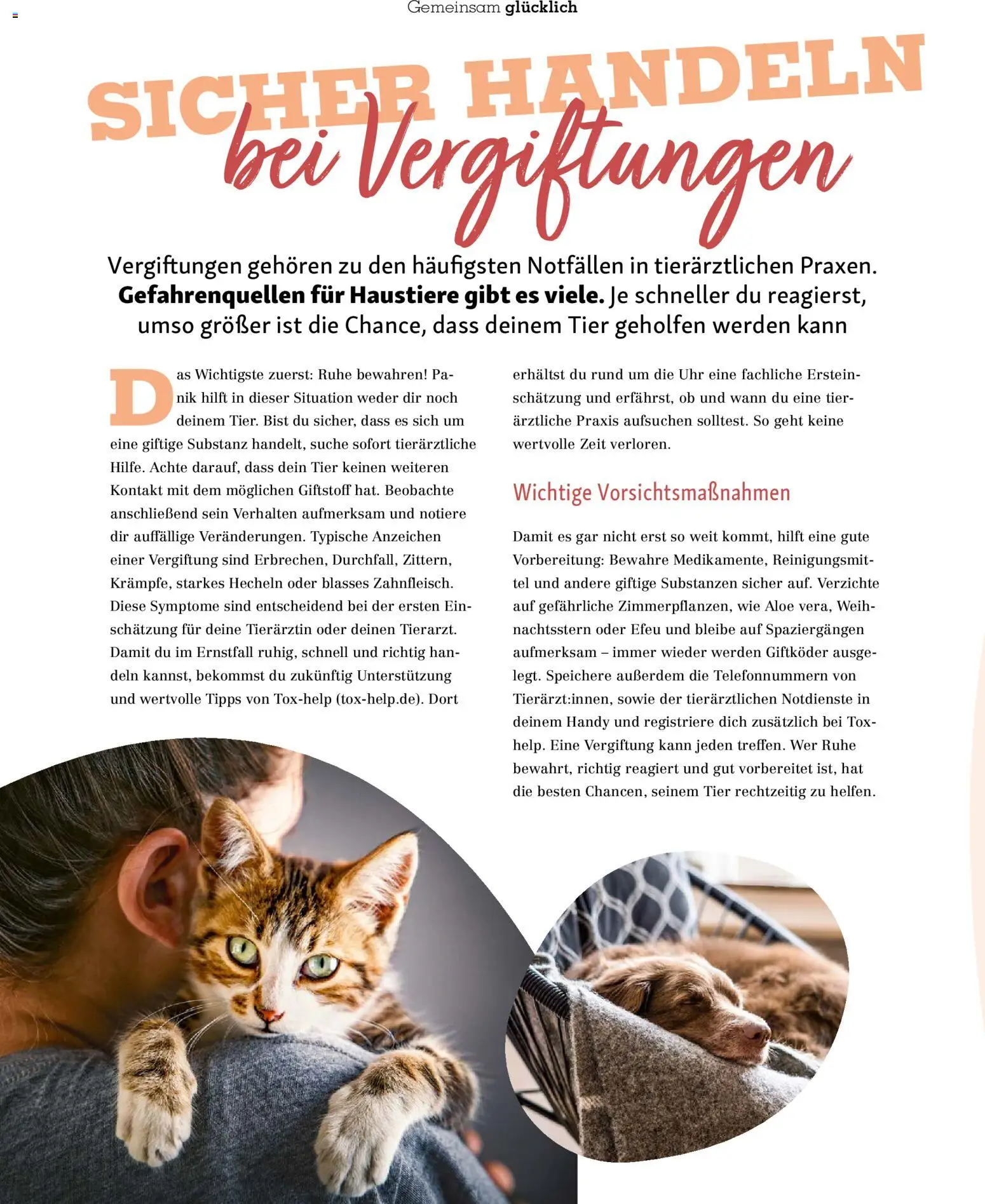 Fressnapf Friends Magazin – gültig ab 01.01.2026 | Seite: 50 | Produkte: Uhr