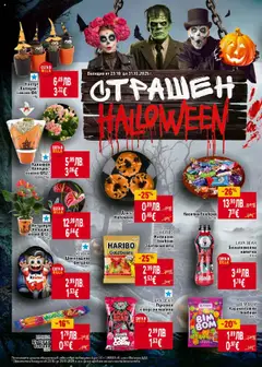 Преглед на Кактус „Хелоуин" саксия Ф6*, Кактус в саксия с декорация за Хелоуин - Офертите са валидни от 23.10.2025 | Страница: 34