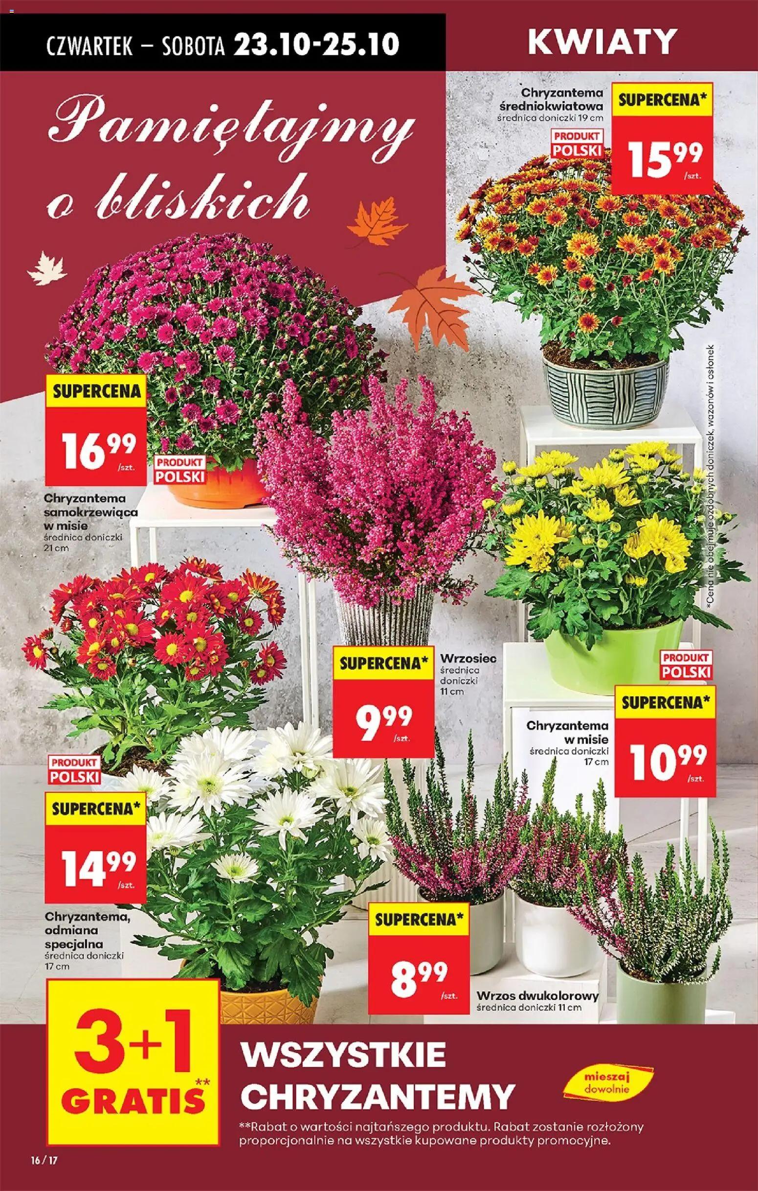 Biedronka gazetka - Oferta w tym tygodniu od 23.10.2025 | Strona: 20 | Produkty: Wrzos, Chryzantemy, Doniczki, Kwiaty