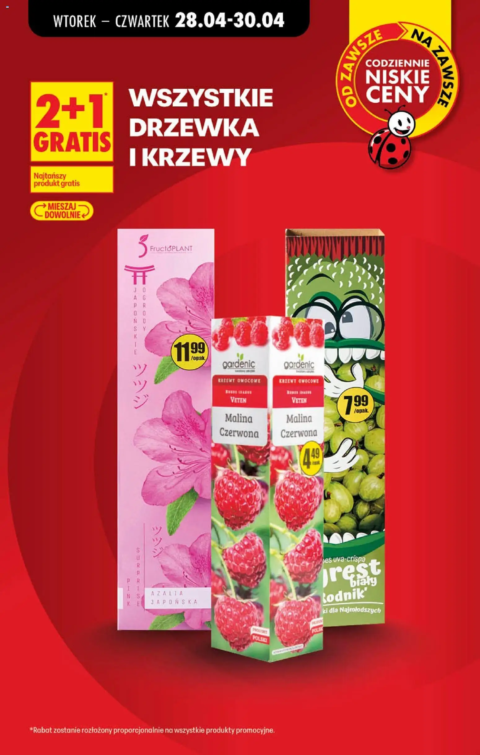 Biedronka Polsko leták - Codziennie niskie ceny od 29.04.2026 | Strana: 24