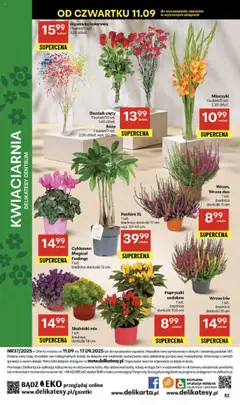 Delikatesy Centrum Gazetka od 11.09.2025 | Strona: 52