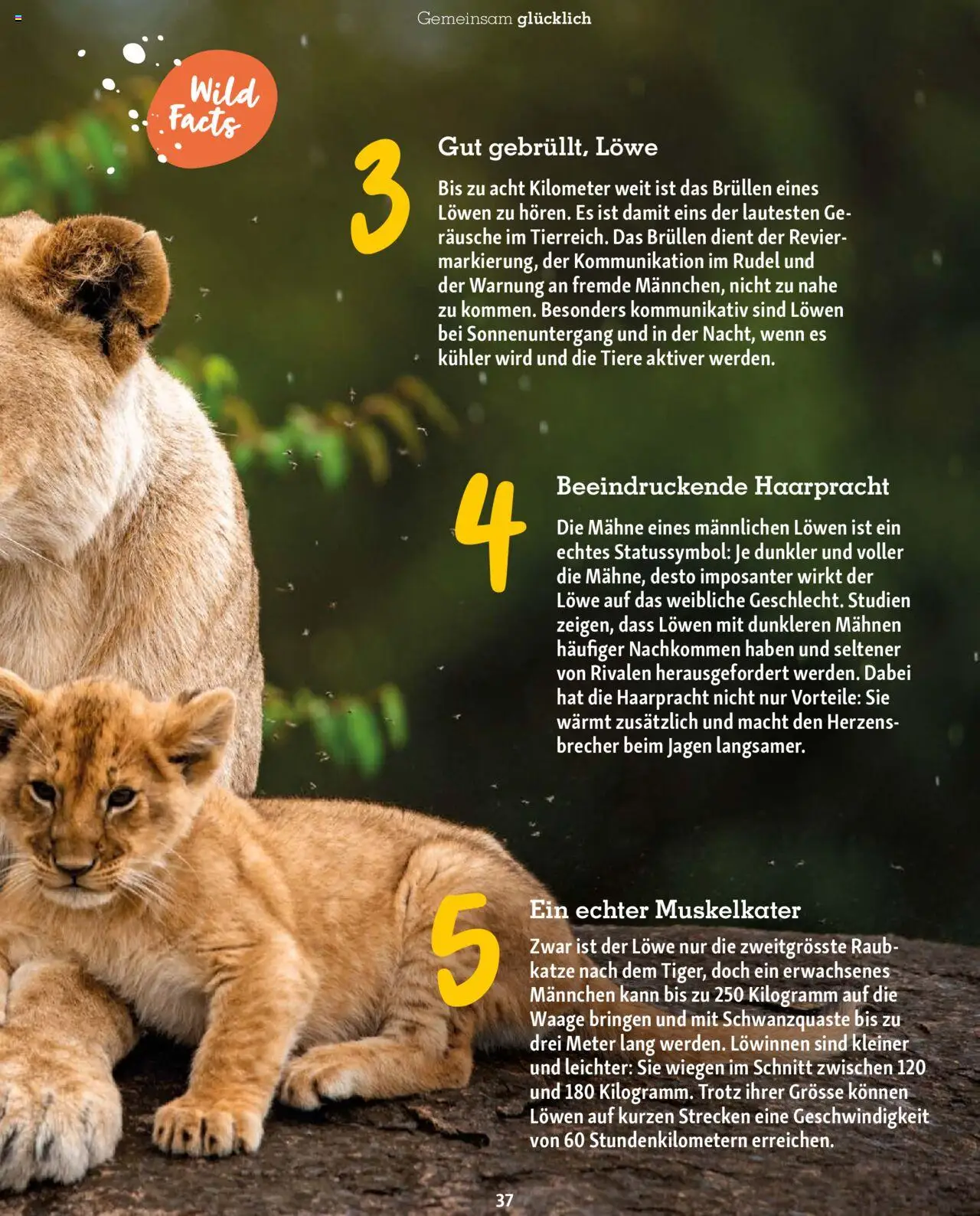 Fressnapf Magazin – gültig ab 01.09.2025 | Seite: 37 | Produkte: Kühler