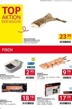 Transgourmet Flugblatt gültig ab 14.09.2025 | Seite: 14 | Produkte: Fisch