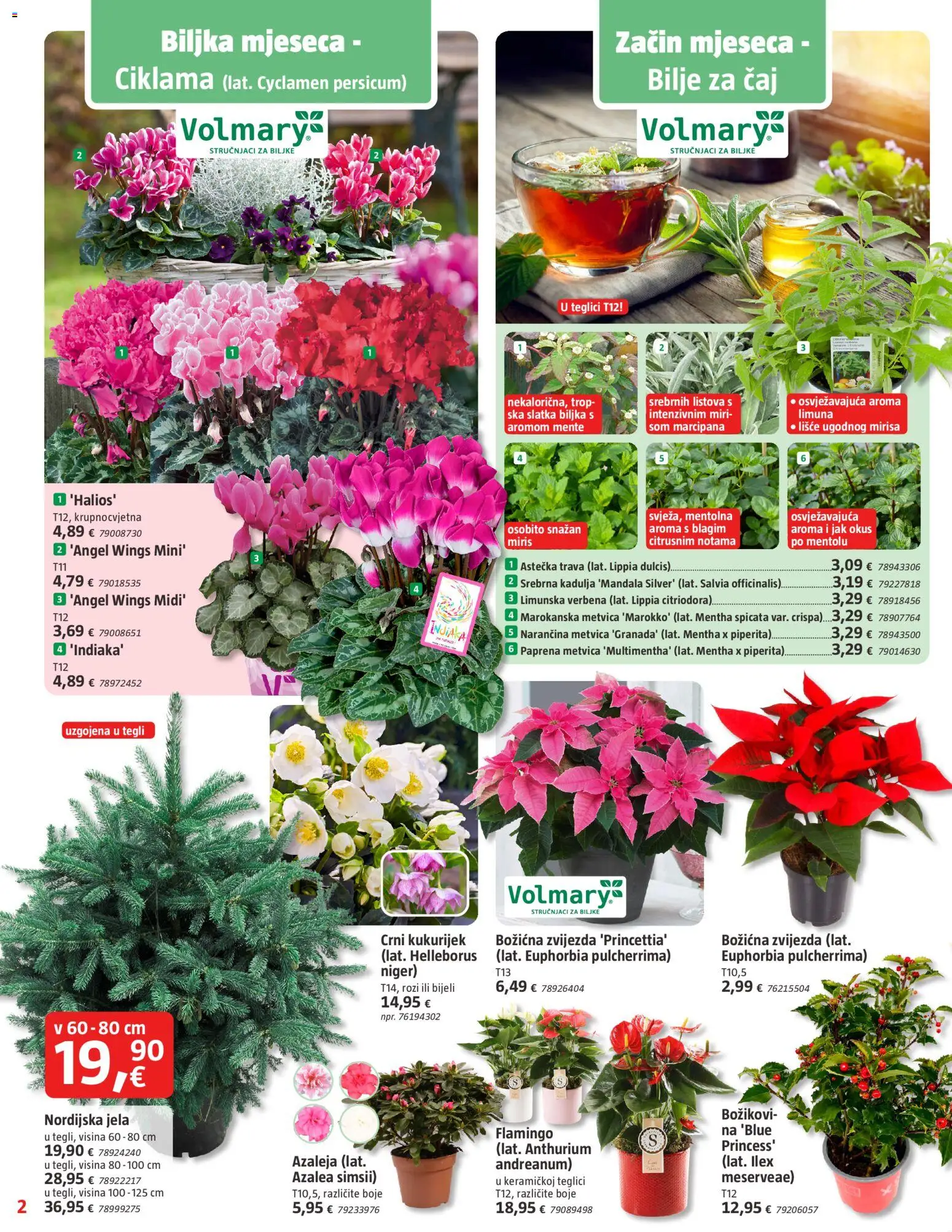 Bauhaus katalog | vrijedi od 06.11.2025 | Stranica: 2