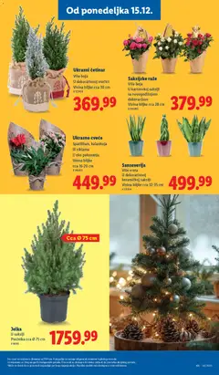 Lidl katalog - pregled Lidl kataloga - važi od 11.12.2025 | Strana: 63