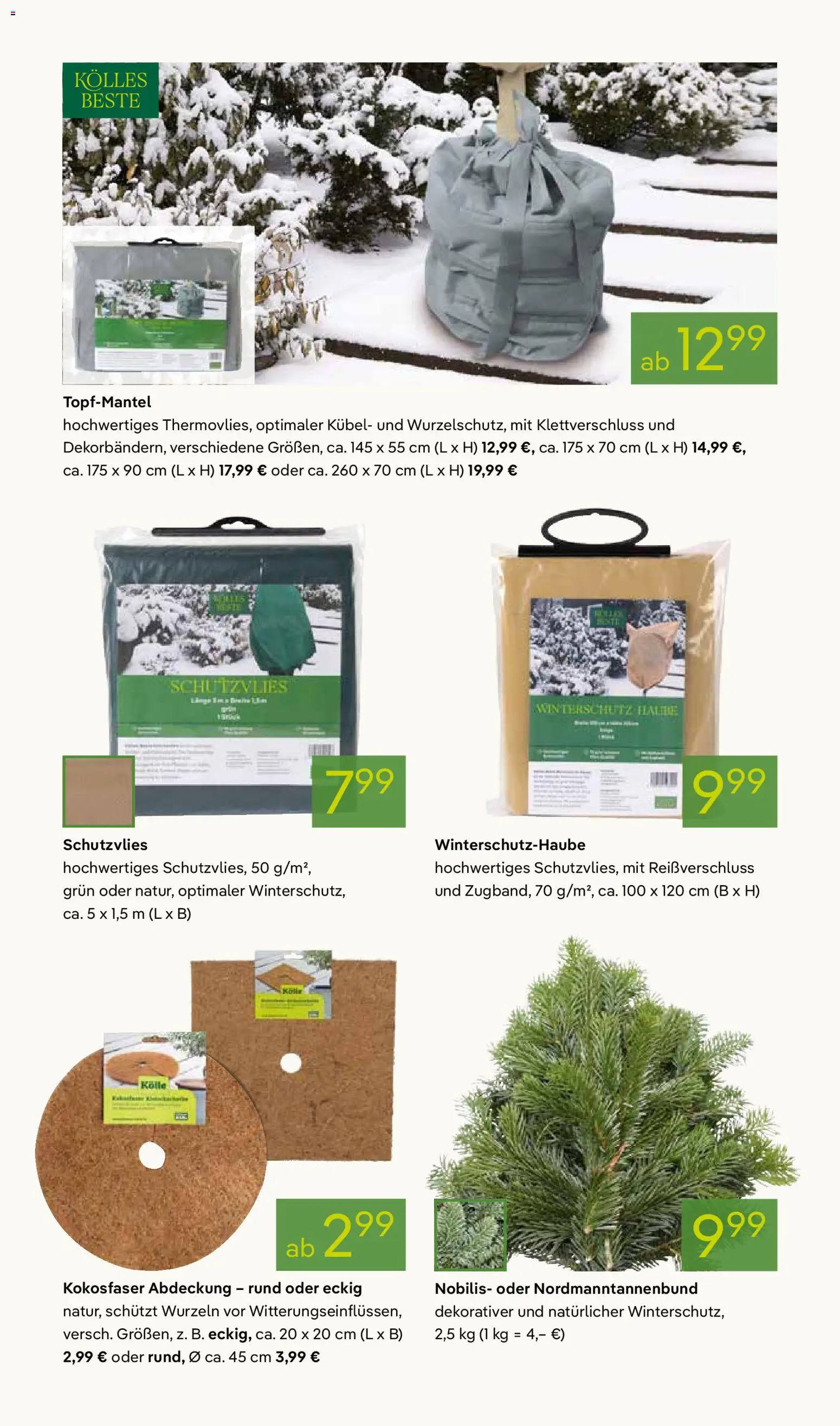 Pflanzen-Kölle Prospekt 	 – gültig ab 24.11.2025 | Seite: 12