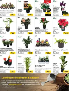 Builders specials catalogue – valid from 02.12.2025 | Page: 5