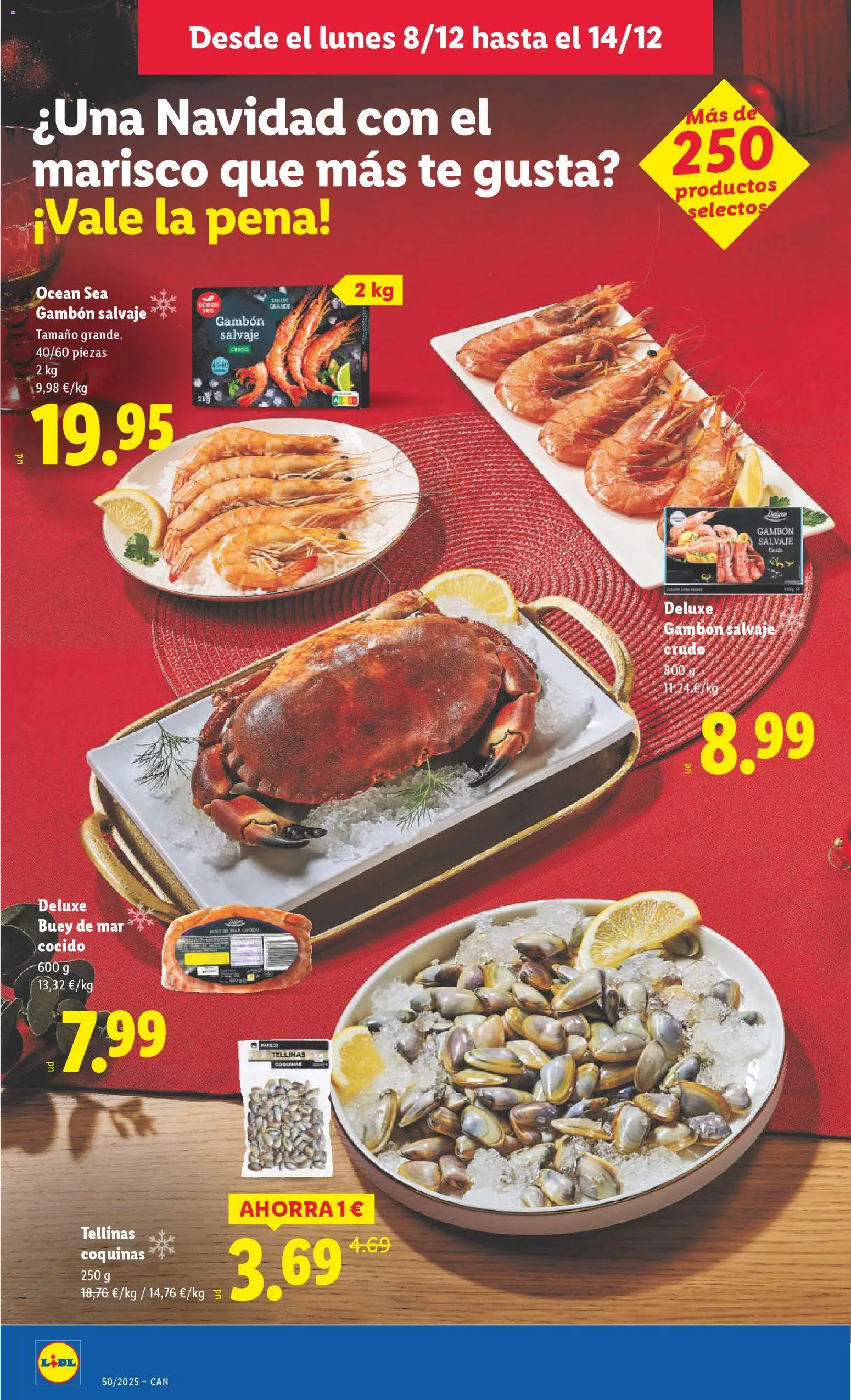 Lidl - Canarias │ válido desde el 08.12.2025 | Página: 8 | Productos: Té