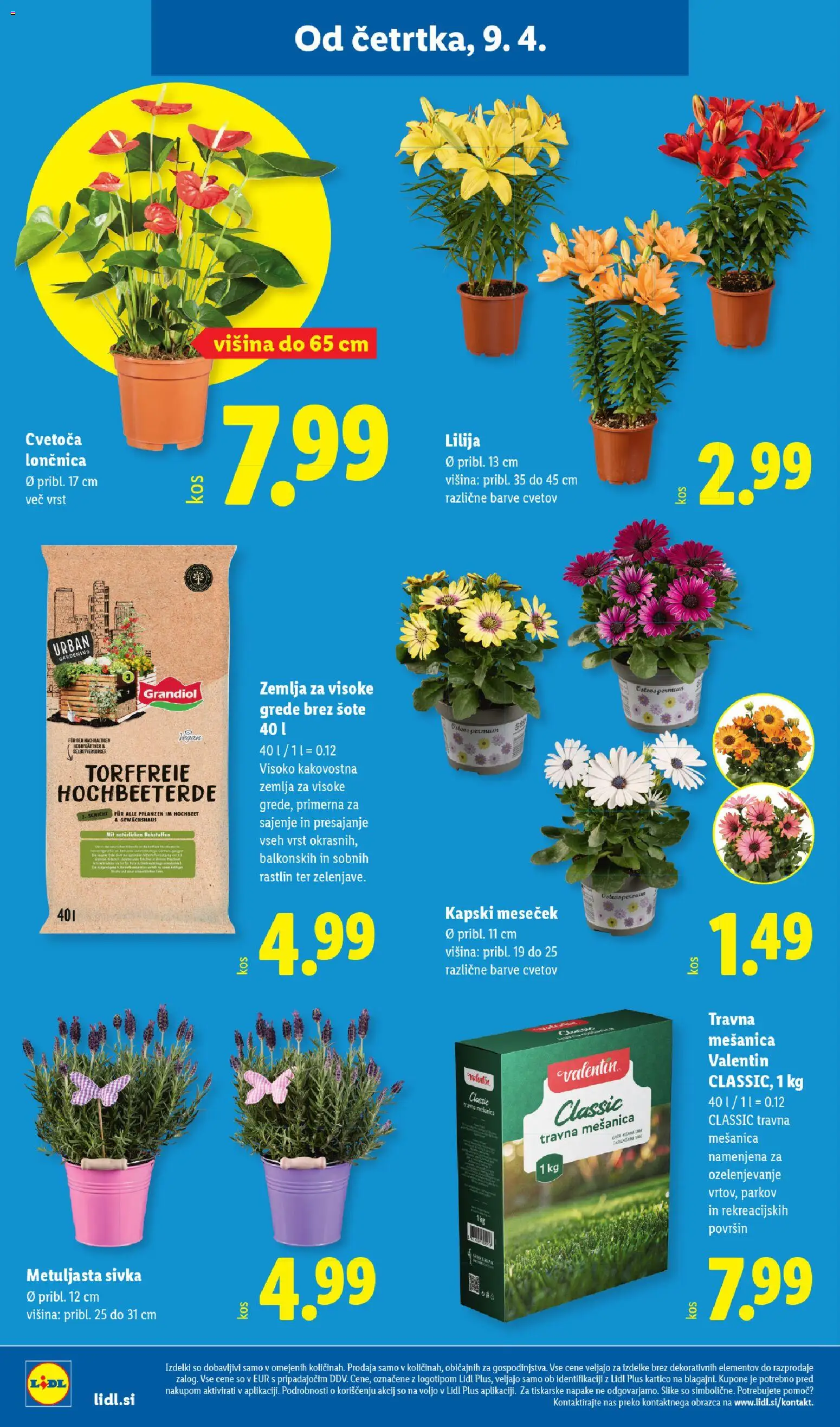 Novi Lidl katalog ponudbe – veljaven od 09.04.2026 | Stran: 28 | Izdelki: Žemlja