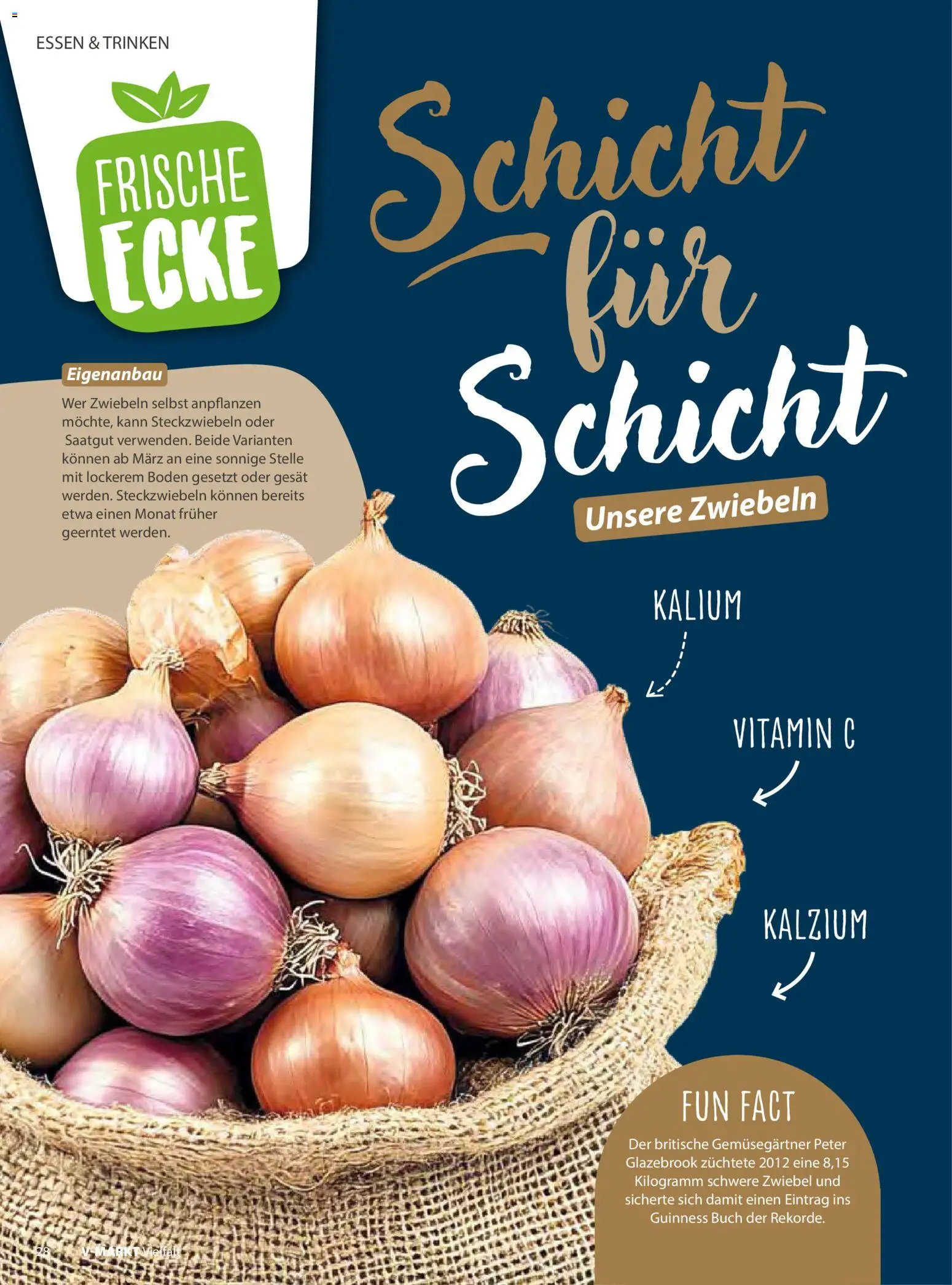 V-Markt - Vielfalt November / Dezember 2025 – gültig ab 01.11.2025 | Seite: 28 | Produkte: Zwiebeln
