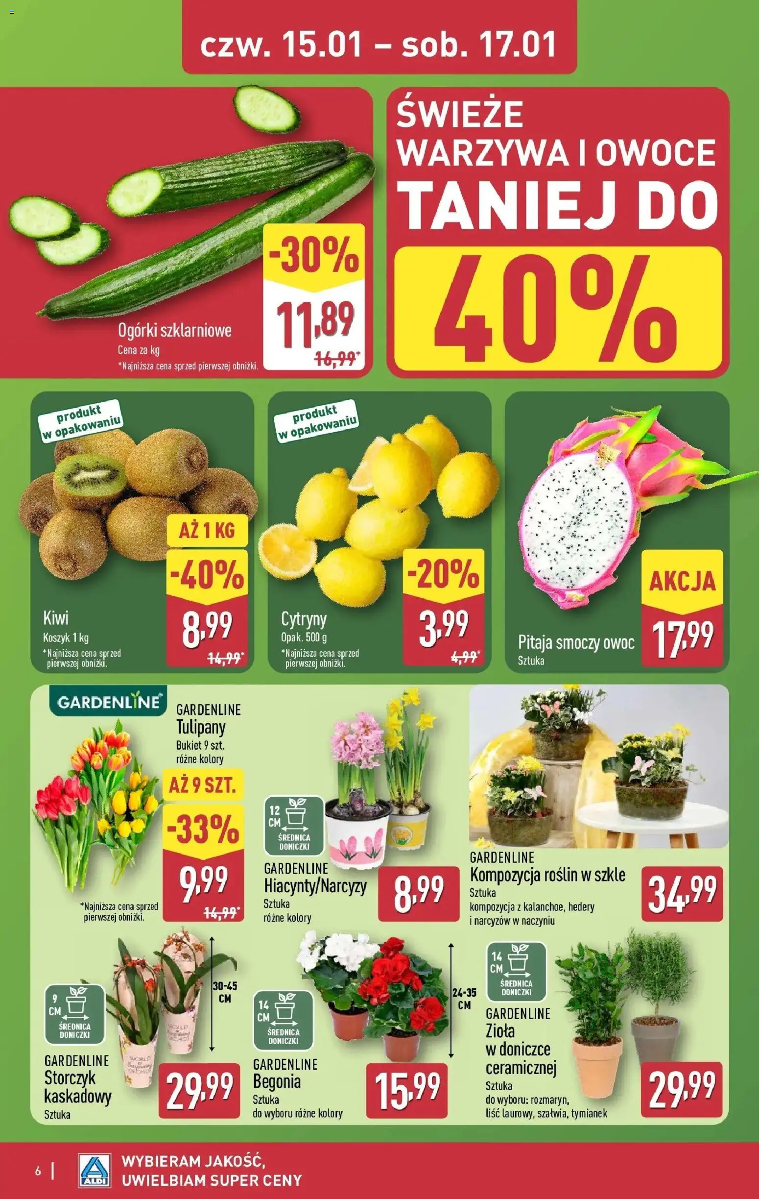 Aldi Gazetka - Okazje na weekend od 15.01.2026 | Strona: 6 | Produkty: Pitaja, Doniczki, Storczyk, Owoce