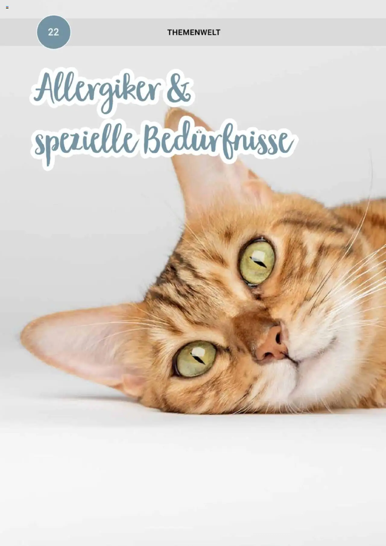 zookauf Themenkatalog Katze – gültig ab 01.10.2025 | Seite: 22