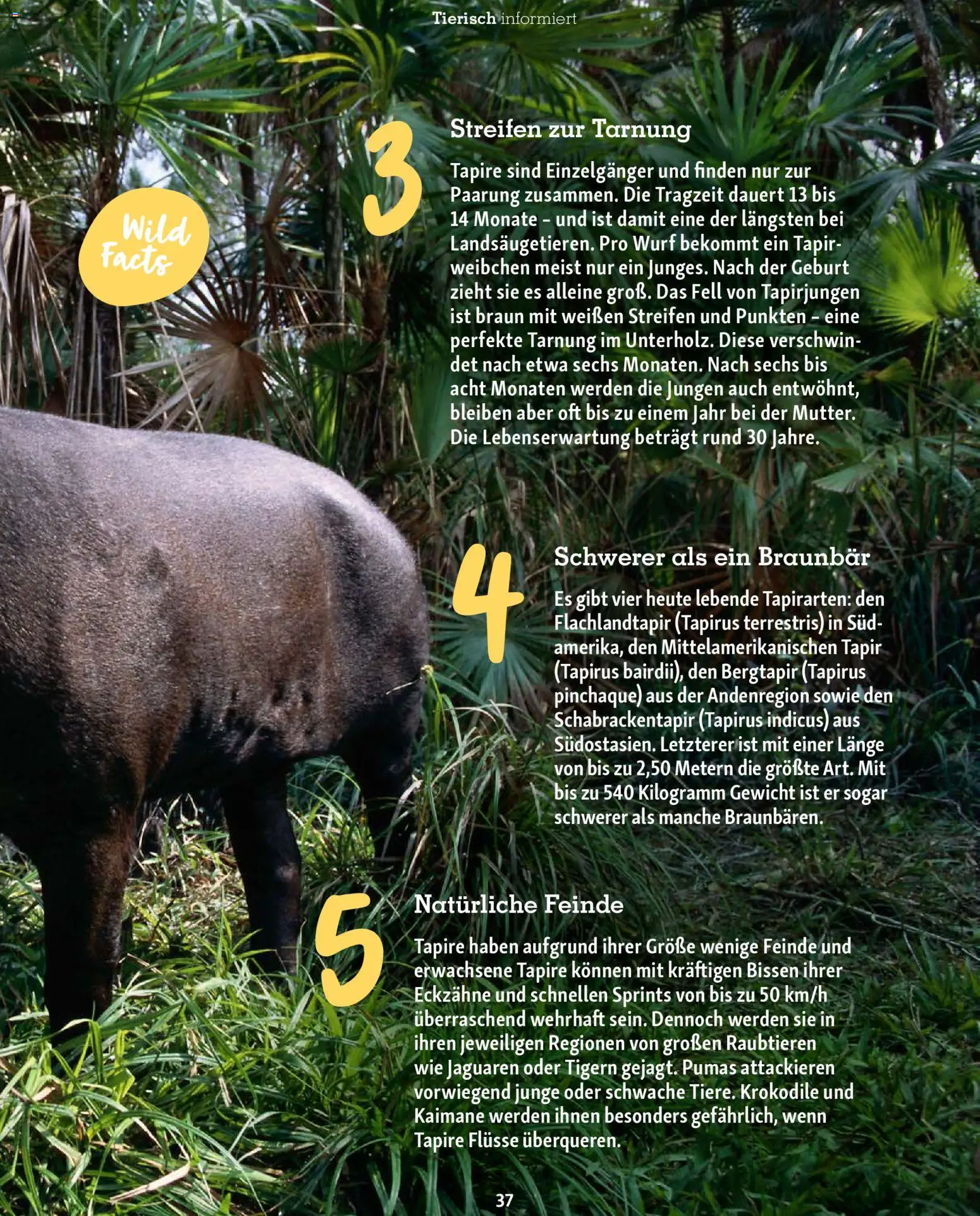 Fressnapf Friends Magazin – gültig ab 01.01.2026 | Seite: 37 | Produkte: Gewicht