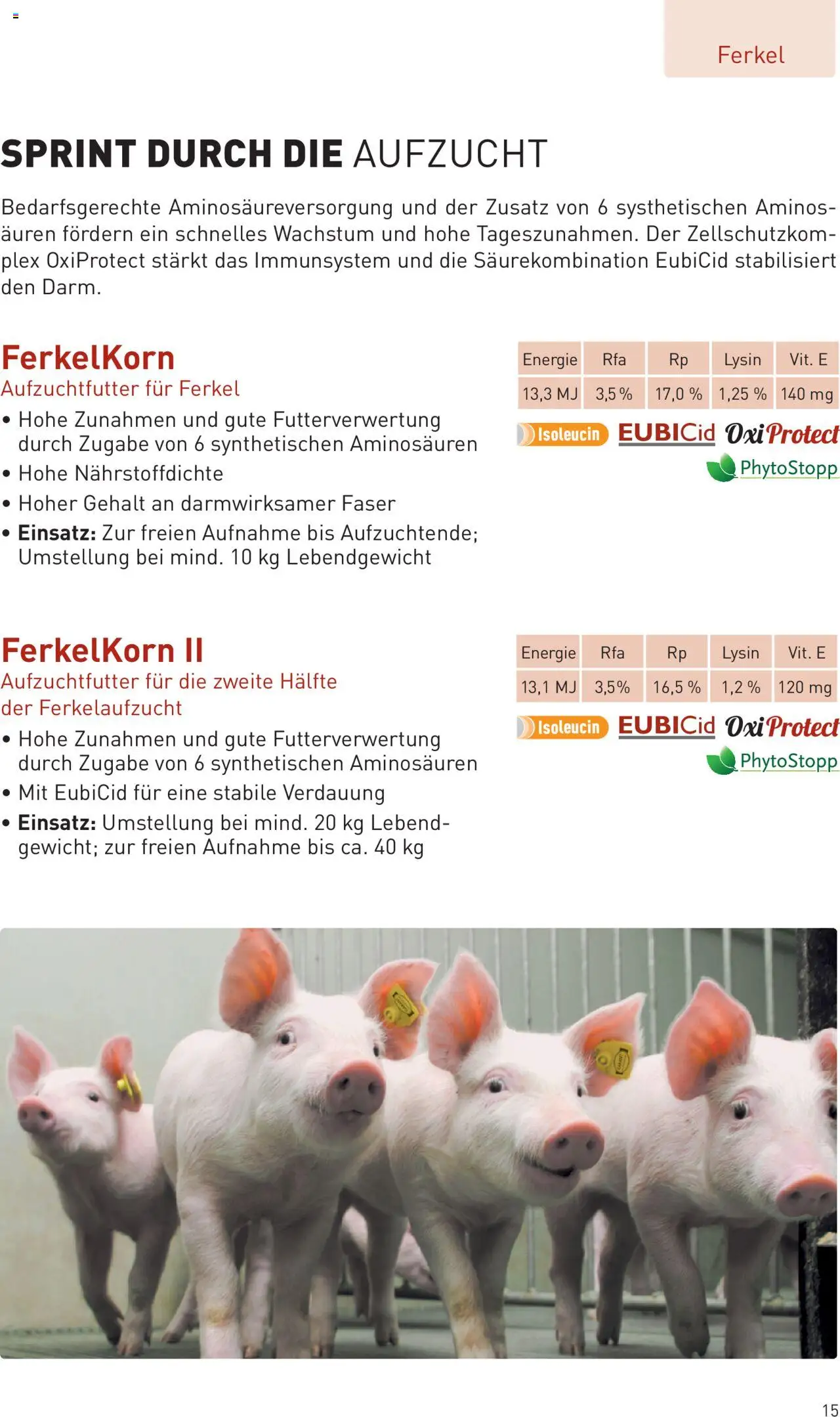 Lagerhaus Prospekt Zuchtsau & Ferkel gültig ab 14.03.2025 | Seite: 15