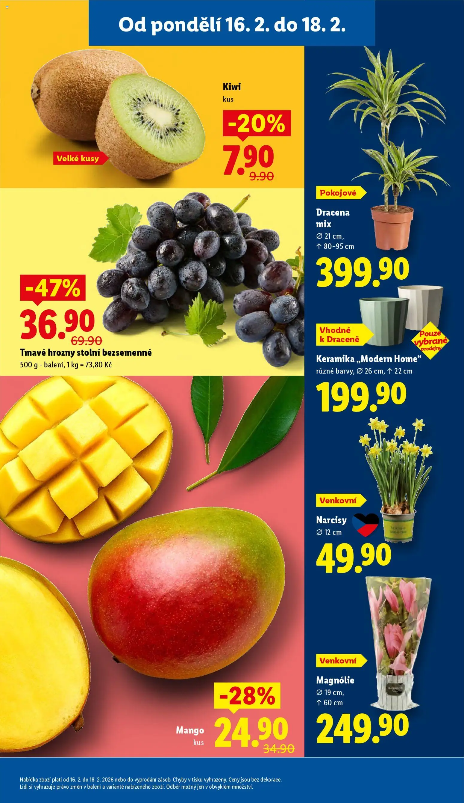 Lidl leták od 16.02.2026 | Strana: 11 | Produkty: Mango, Kiwi, Hrozny
