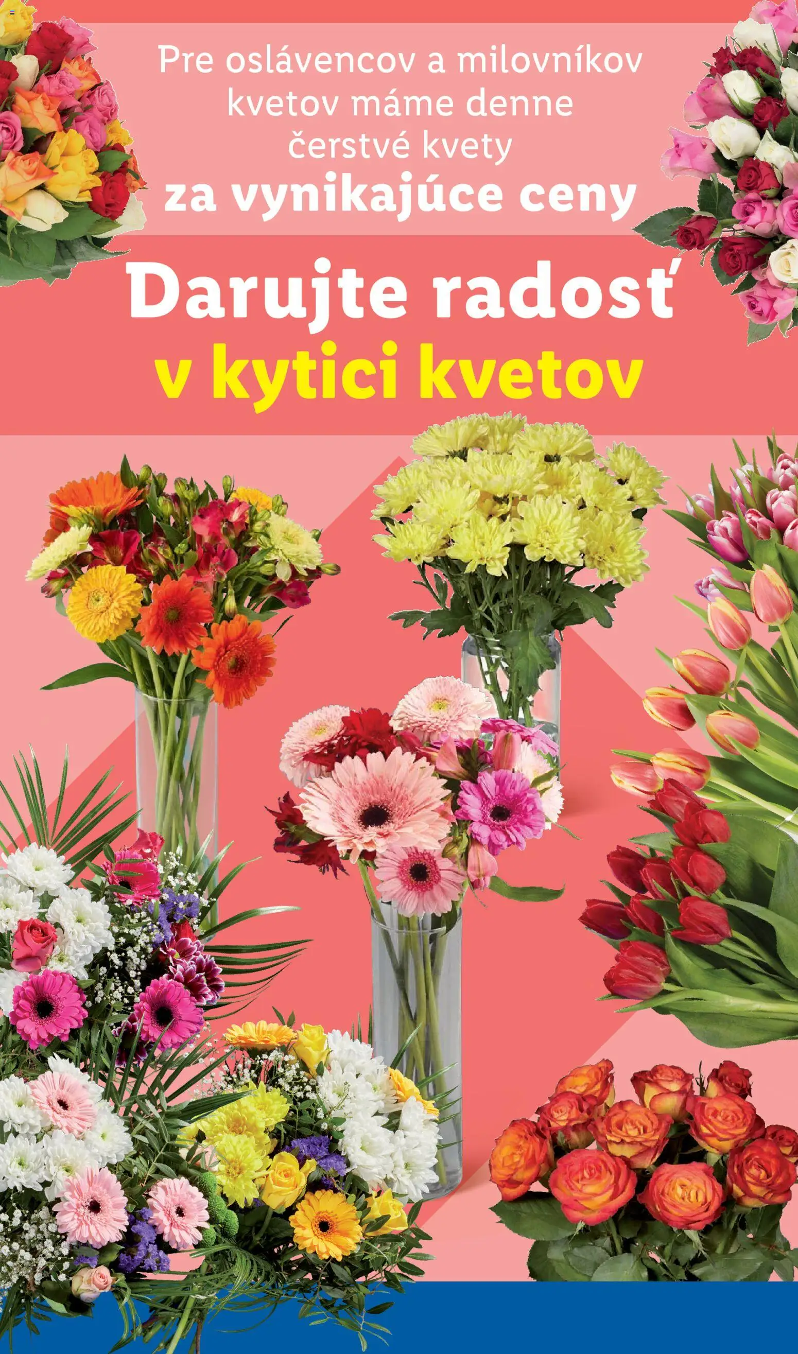 Nové Lidl akcie – leták je platný od 13.11.2025 | Strana: 34 | Produkty: Kvety
