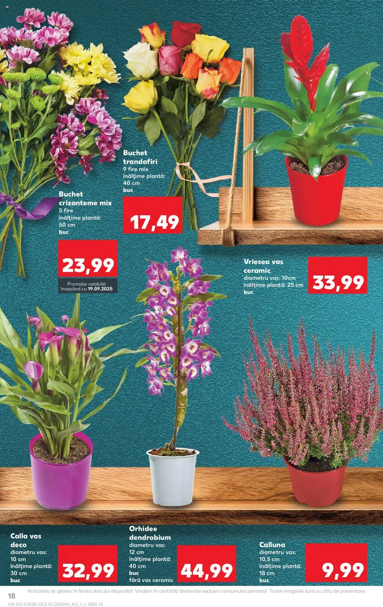 Noul catalog Kaufland – valabil de la 17.09.2025 | Pagină: 18 | Produse: Orhidee