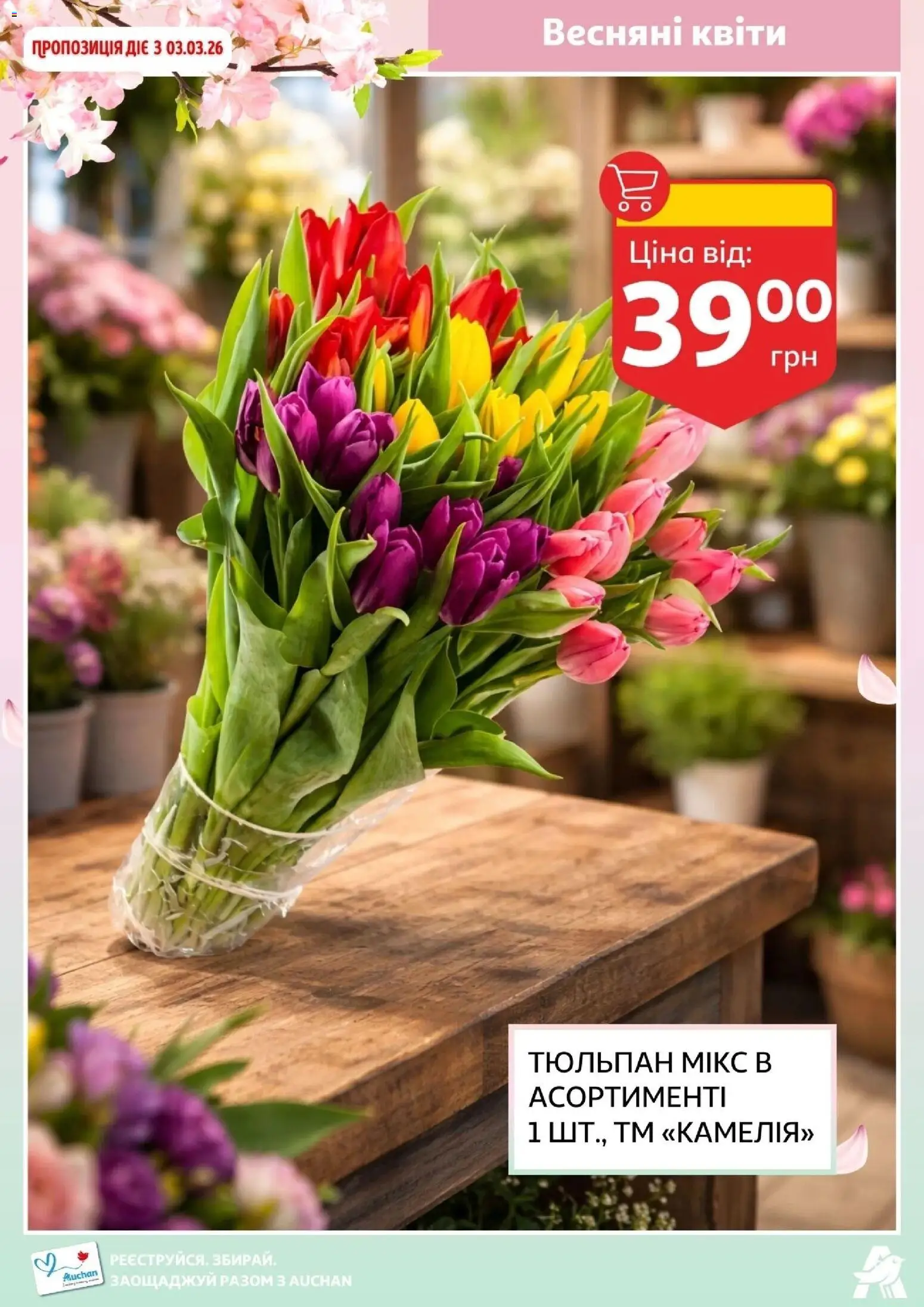 Ашан Kаталог - дійснийкції з 19.02.2026 | Сторінка: 8