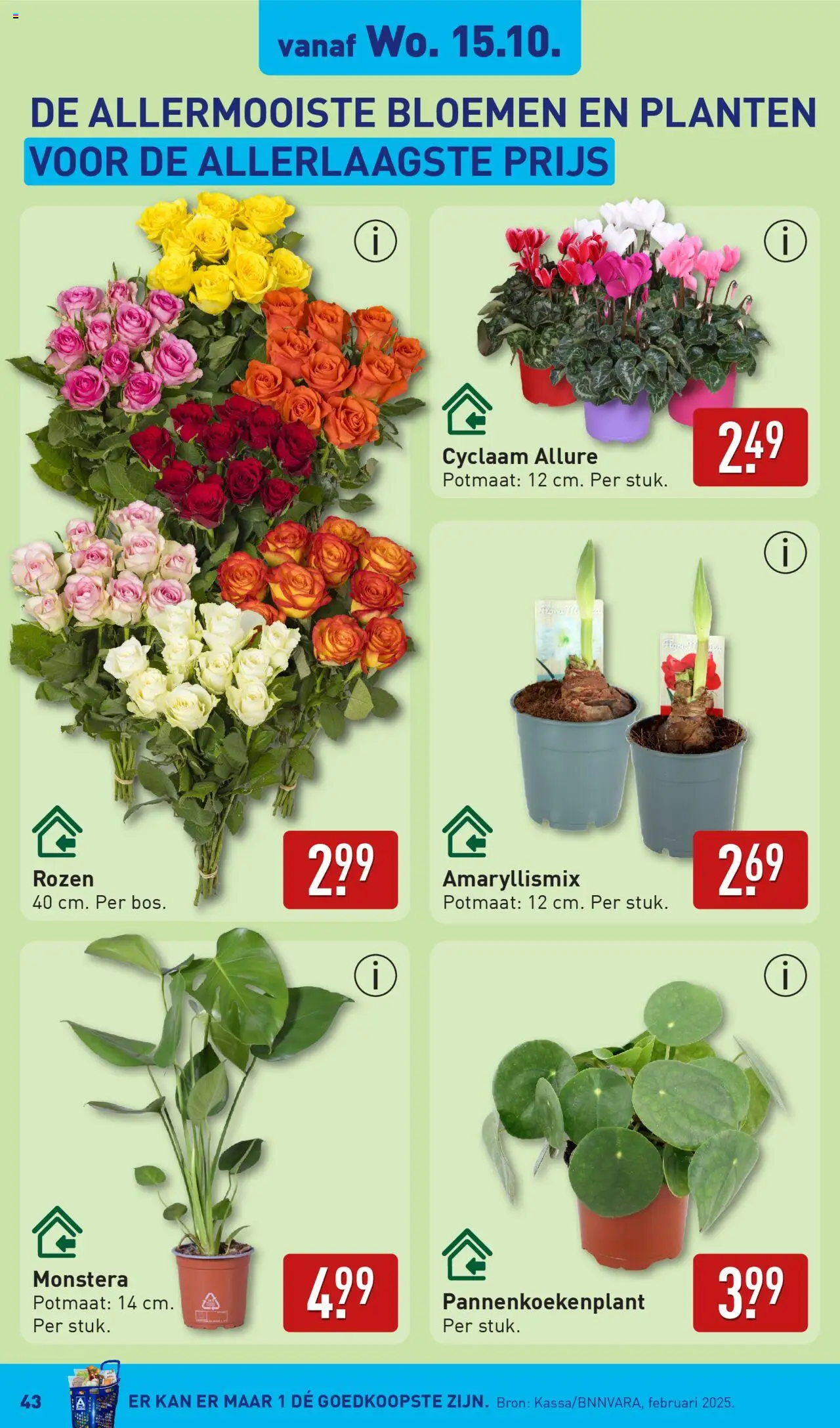 {H1} | Pagina: 43 | Producten: Kan, Bloemen