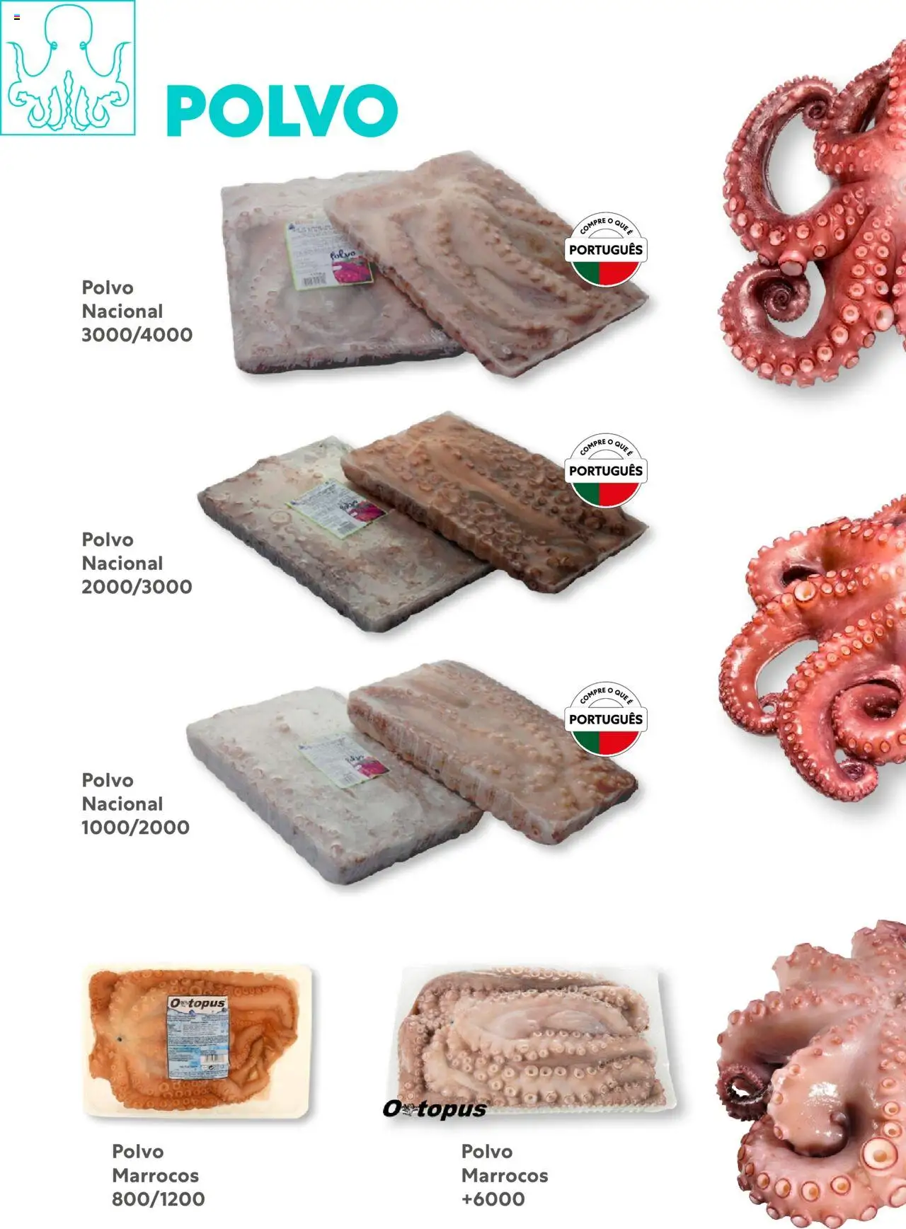 Recheio - Congelados do Mar e da Terra │ válido de 14.07.2025 | Página: 21 | Produtos: Polvo