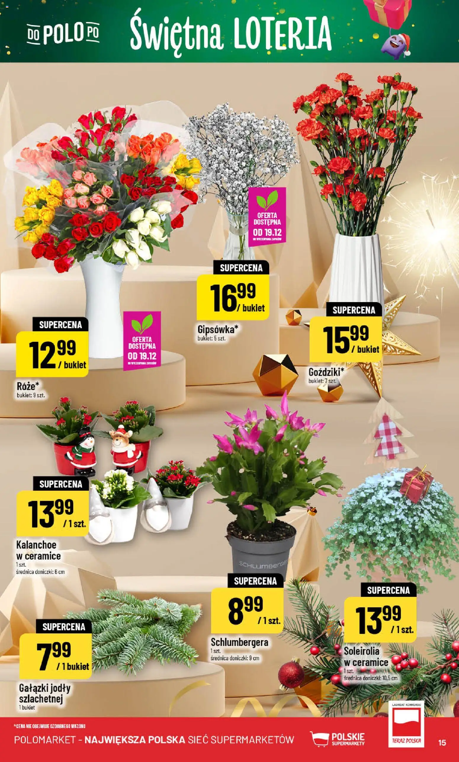 POLOmarket Gazetka od 17.12.2025 | Strona: 15 | Produkty: Doniczki, Kalanchoe