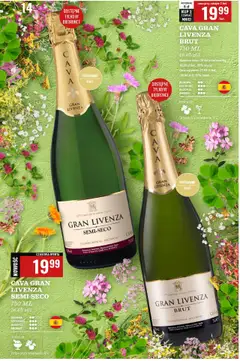 Biedronka gazetka - Czas na toast od 28.07.2025 | Strona: 16 | Produkty: Por