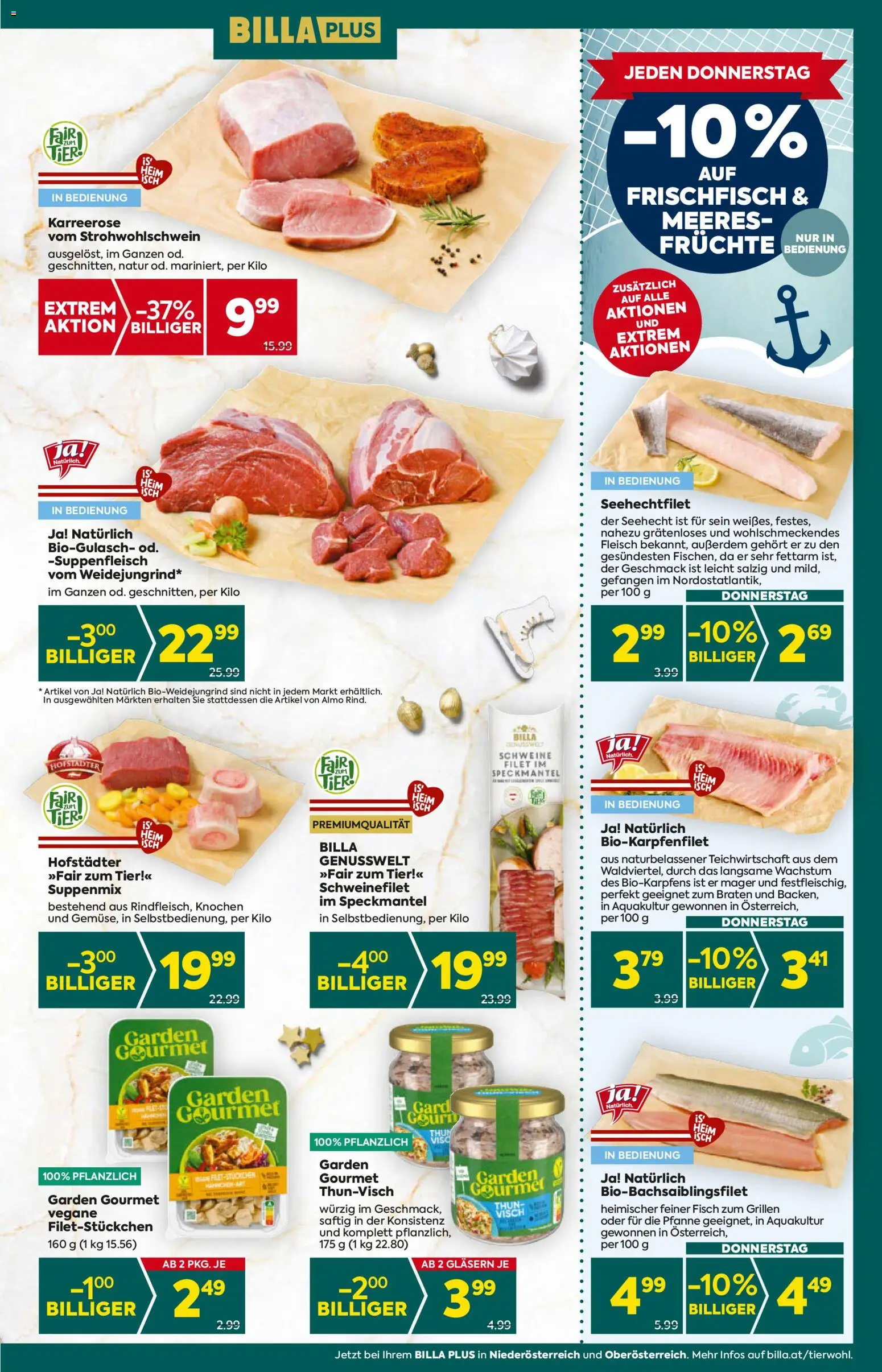 Billa Plus Flugblatt - Oberösterreich gültig ab 27.11.2025 | Seite: 13 | Produkte: Fisch