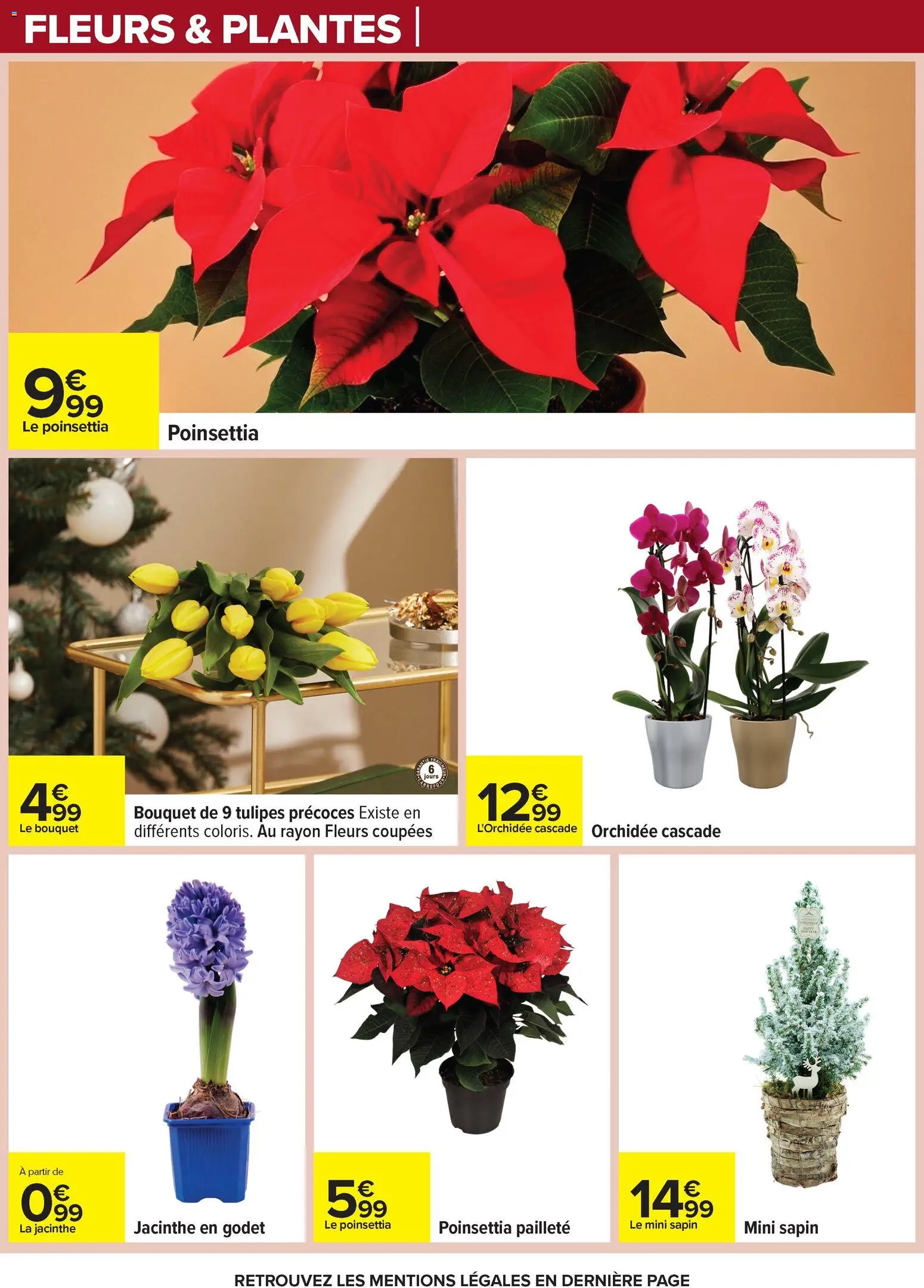 {H1} | Page: 92 | Produits: L'orchidée, Poinsettia, Plantes, Tulipes