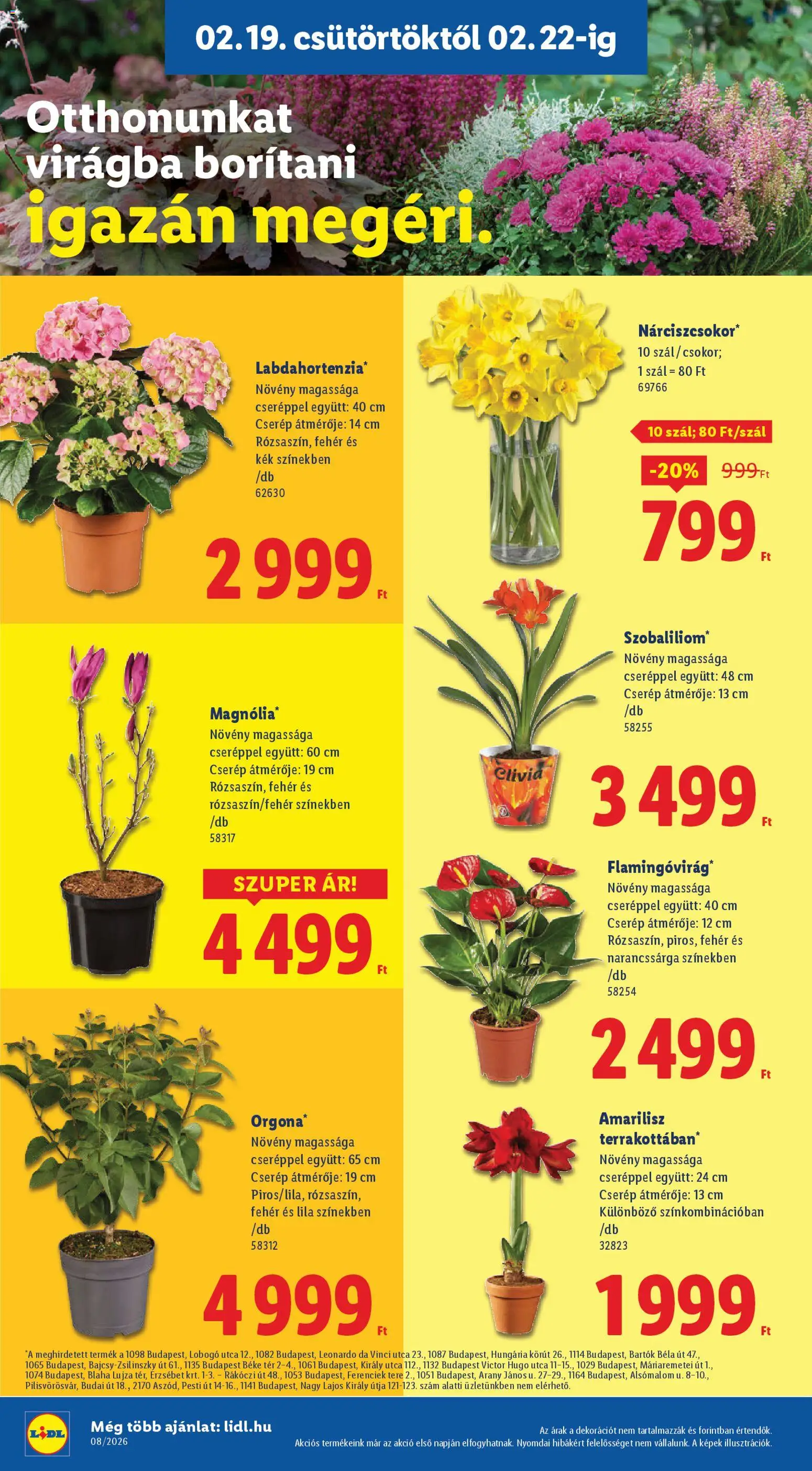 Lidl akciós ujság - amely érvényes a következő dátumtól: 19.02.2026 | Oldal: 18