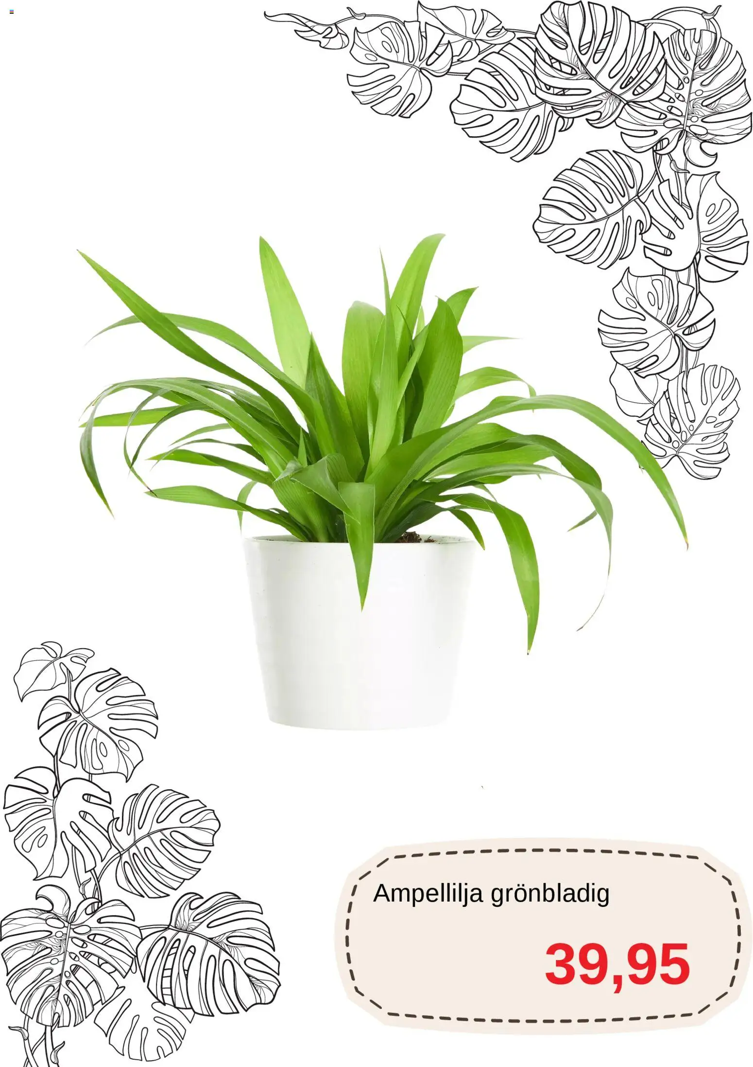 Blomsterlandet reklamblad aktuell från 01.11.2025 | Sida: 8